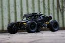 dsc08346.jpg
