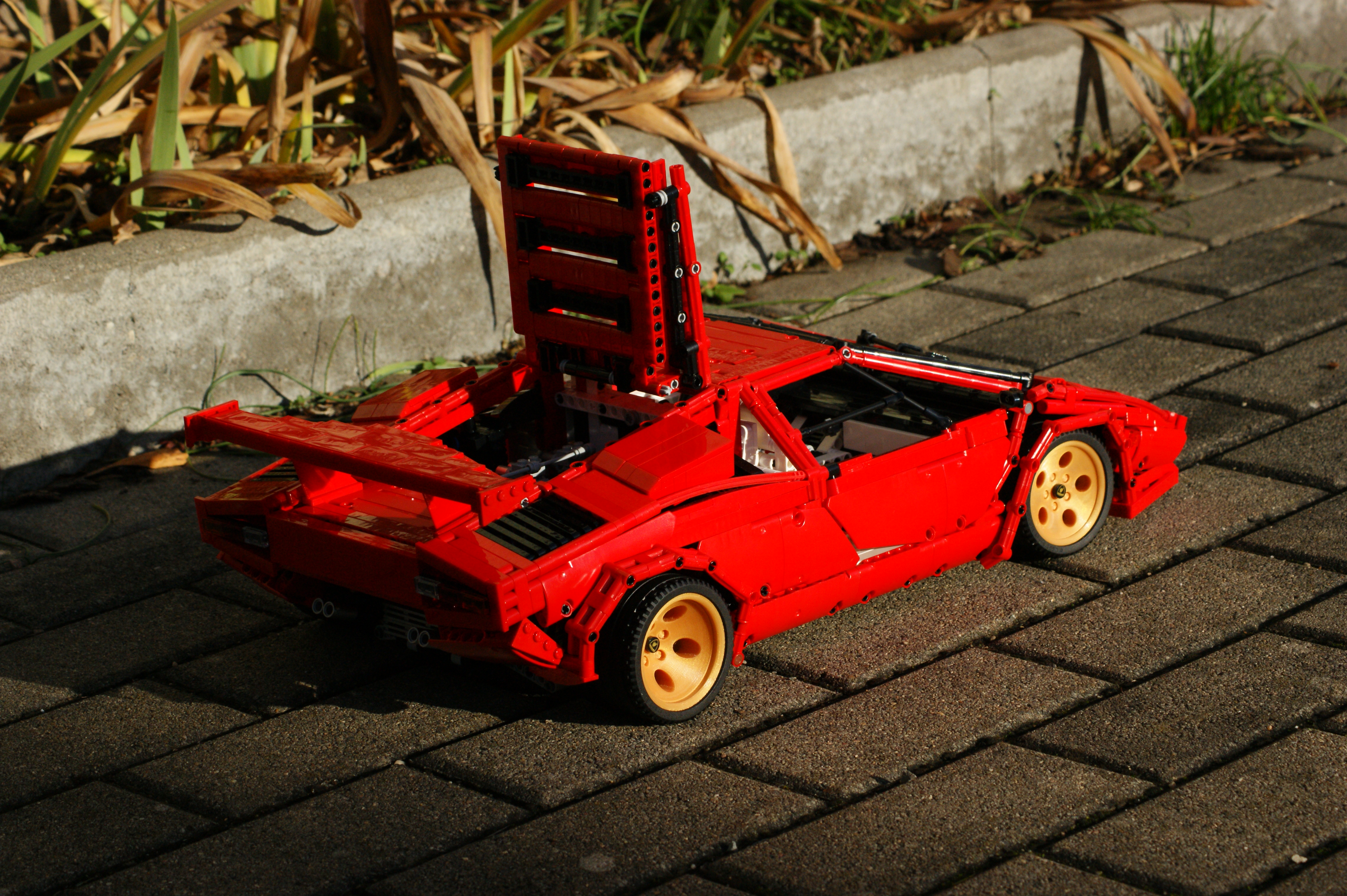 dsc08884.jpg