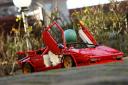 dsc08857.jpg