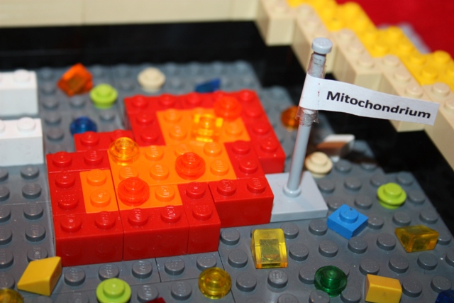 img_7574.jpg