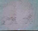 blurry2.jpg