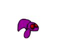 zee.gif