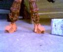 legs.jpg