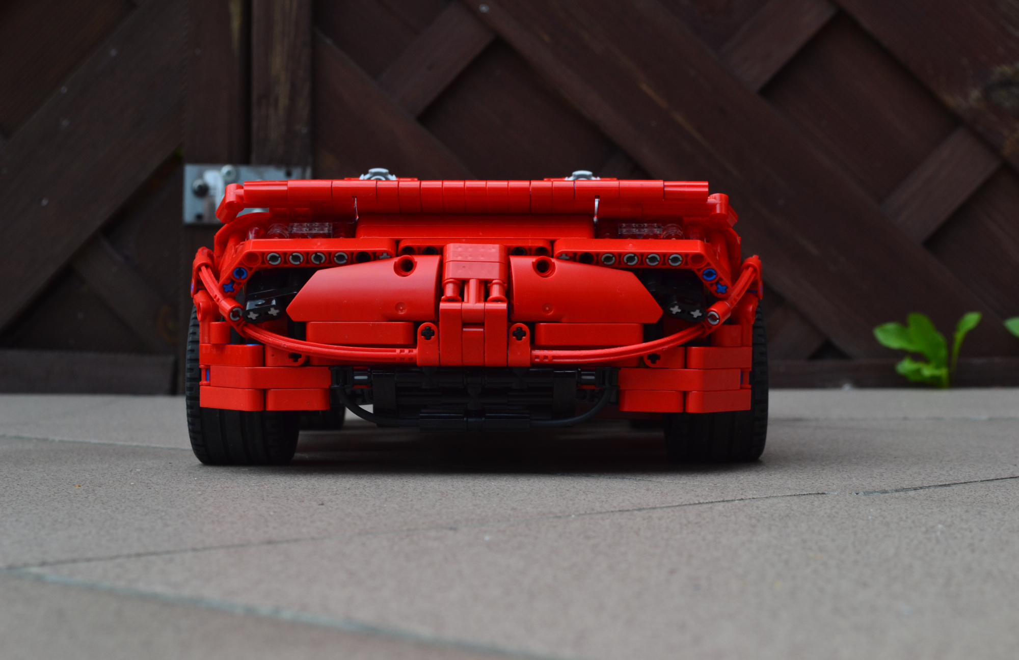 dsc_04063.jpg