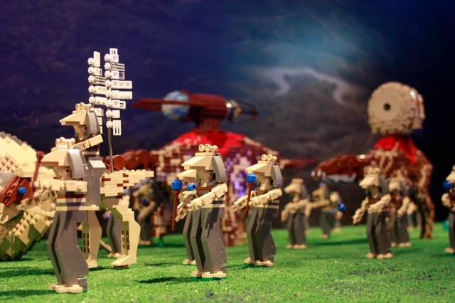 _mg_1586.jpg