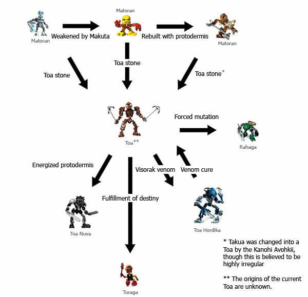 matoran_evolution.jpg