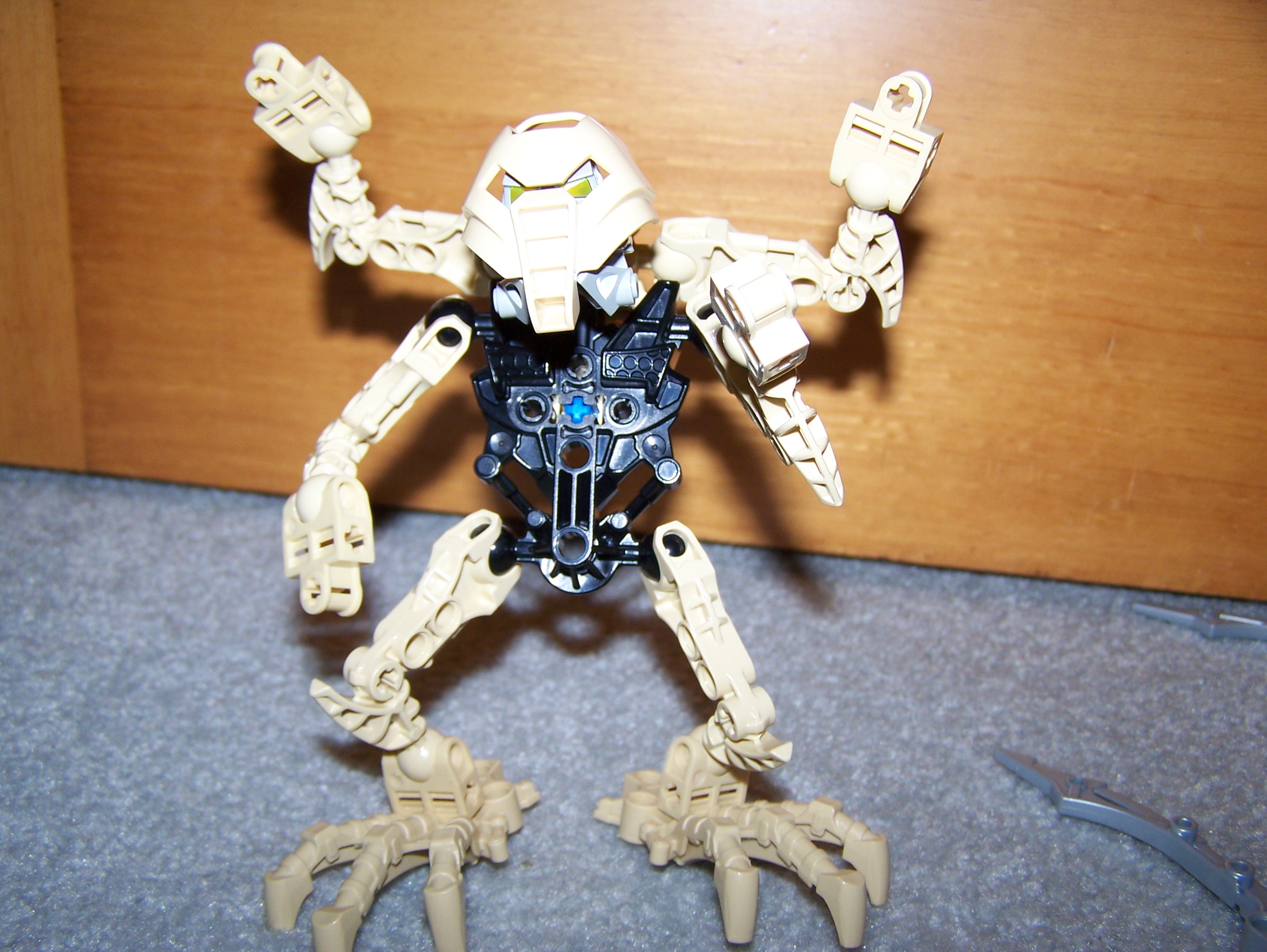 matoran_of_gara_nui_016.jpg