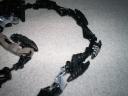 snake_003.jpg