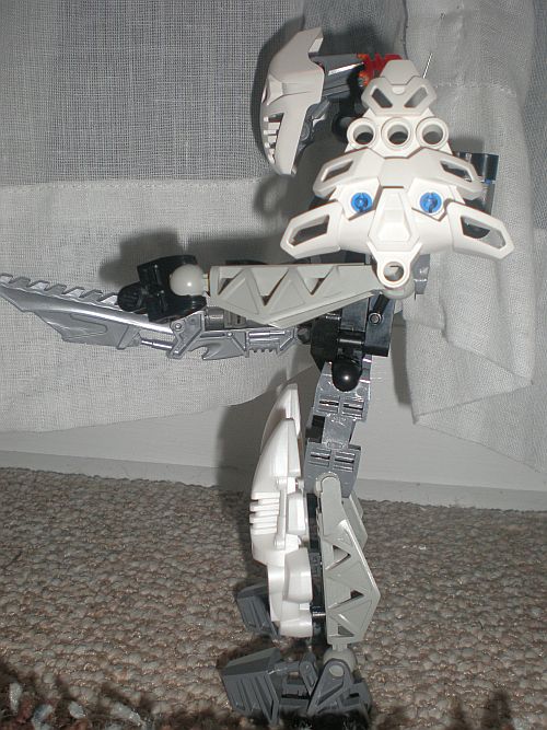 toa_of_ice_003.jpg
