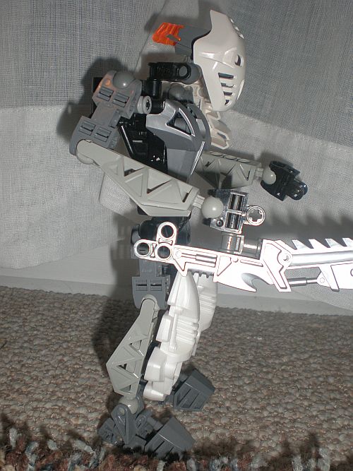toa_of_ice_004.jpg