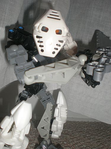 toa_of_ice_007.jpg