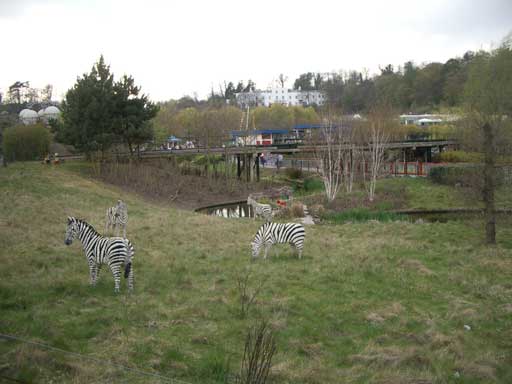adventurerstrain140404_2.jpg