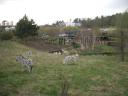 adventurerstrain140404_2.jpg