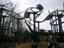 junglecoaster2_200304.jpg