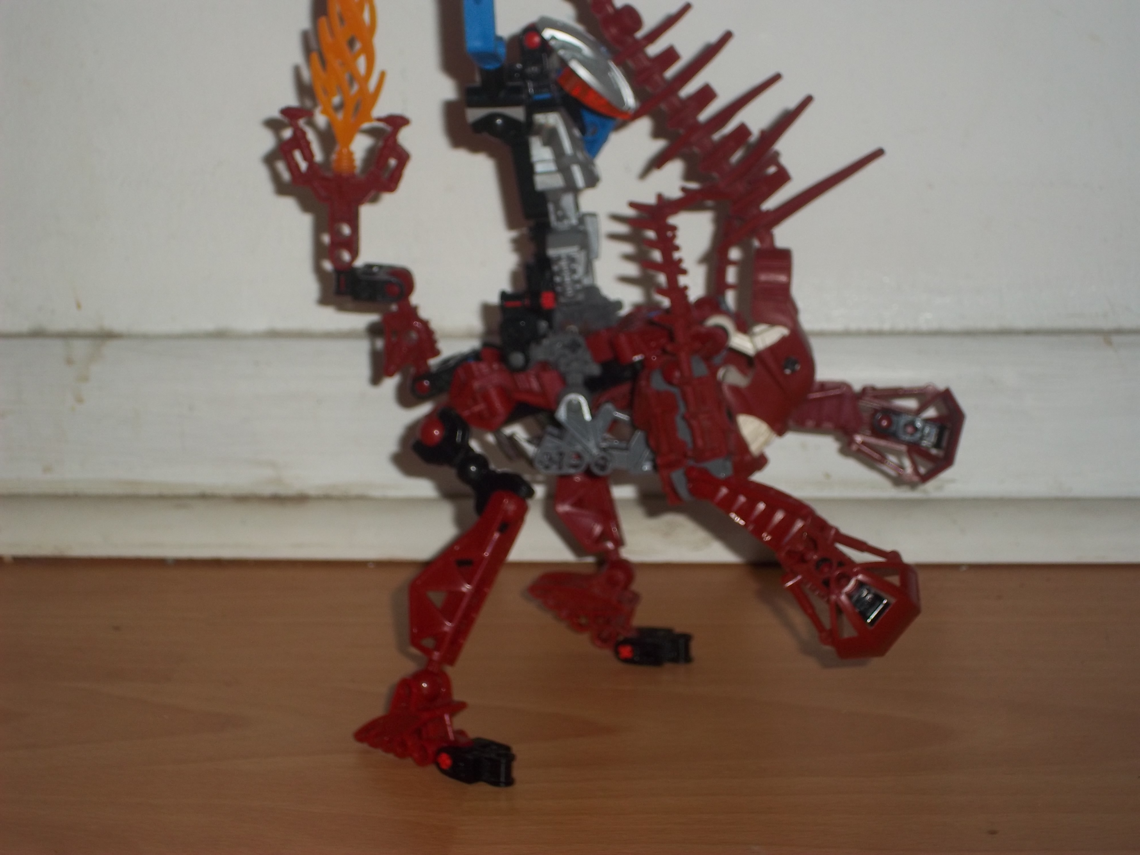 100_0705.jpg