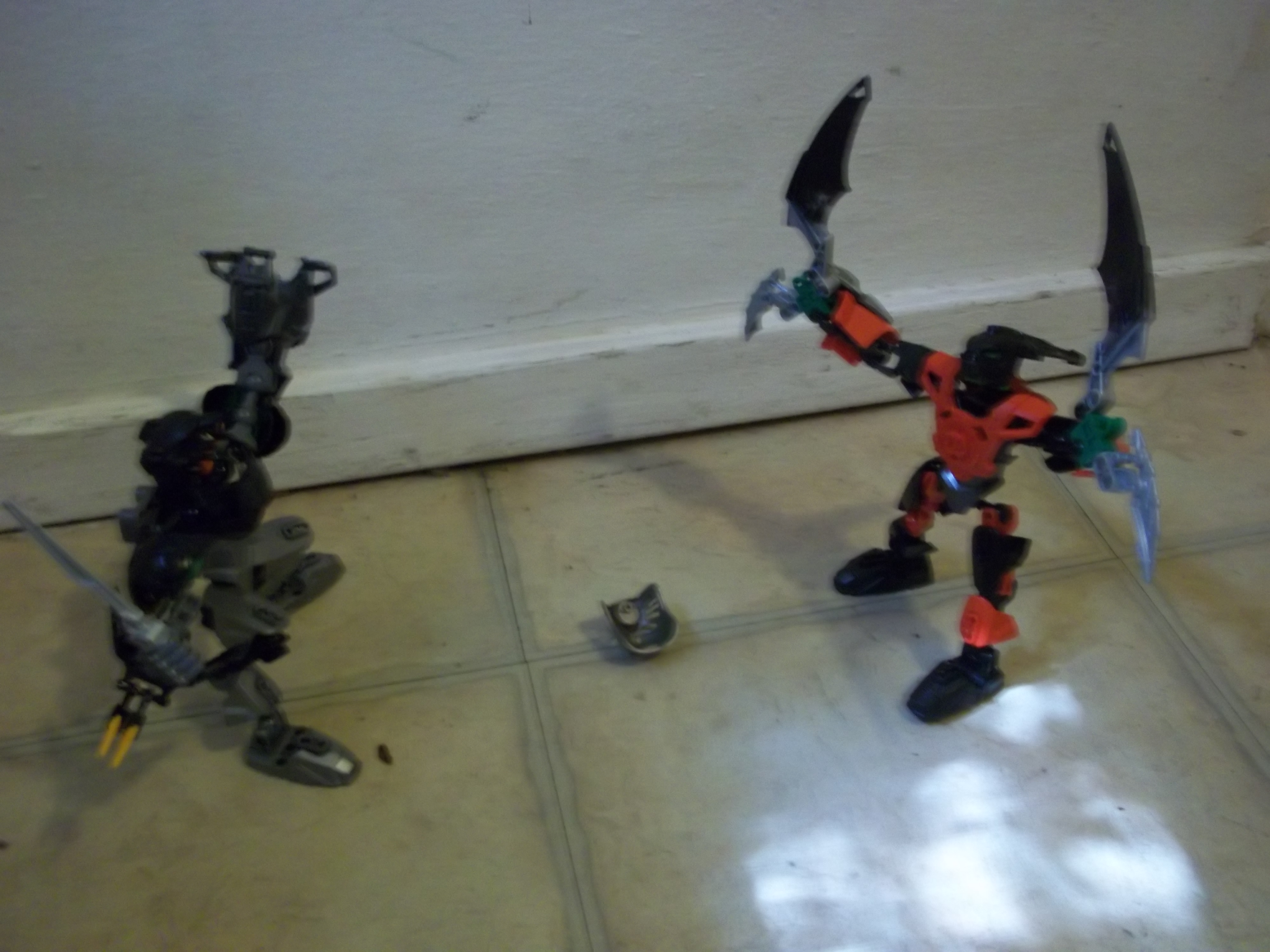 100_0781.jpg