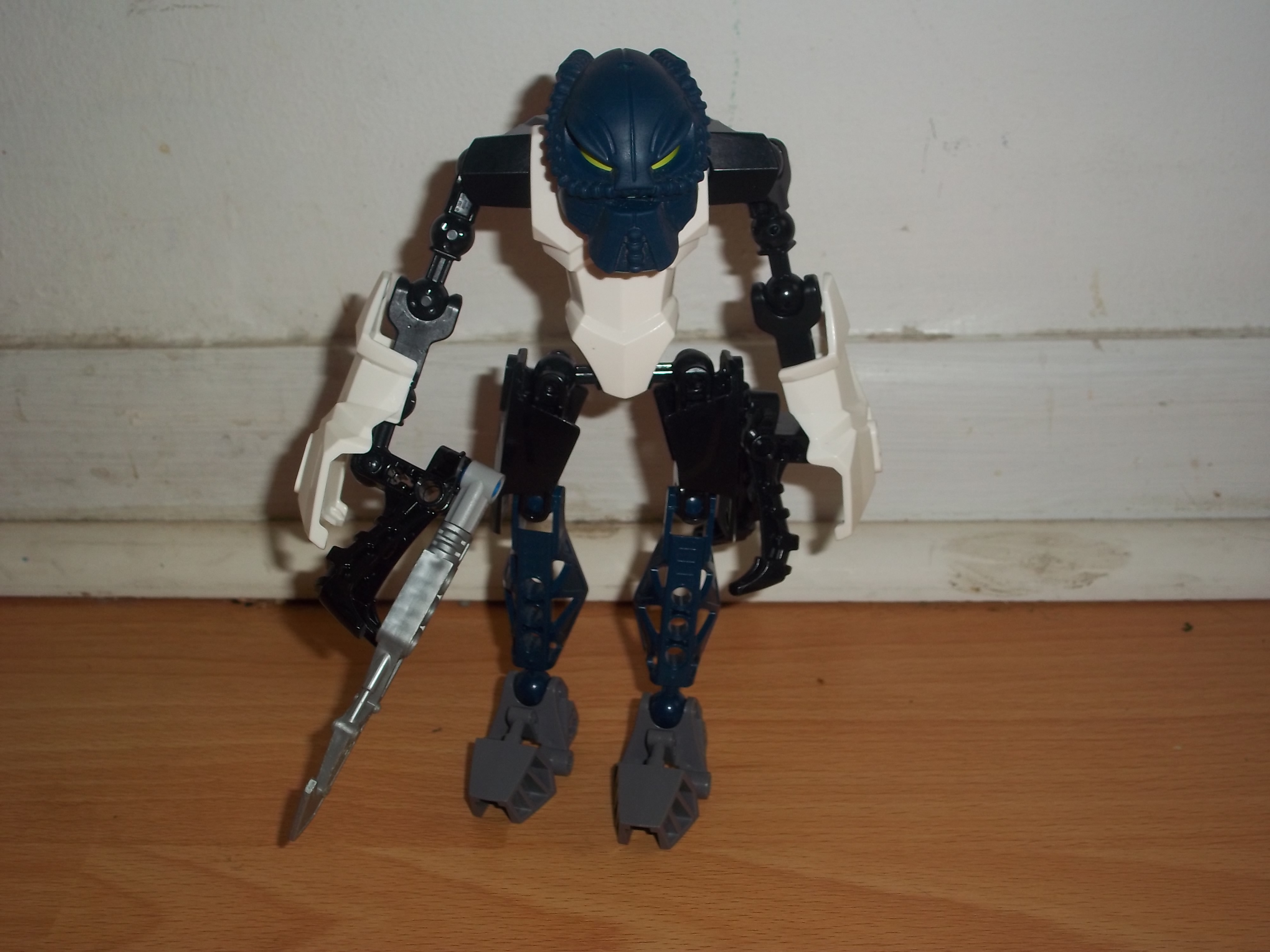 100_0717.jpg