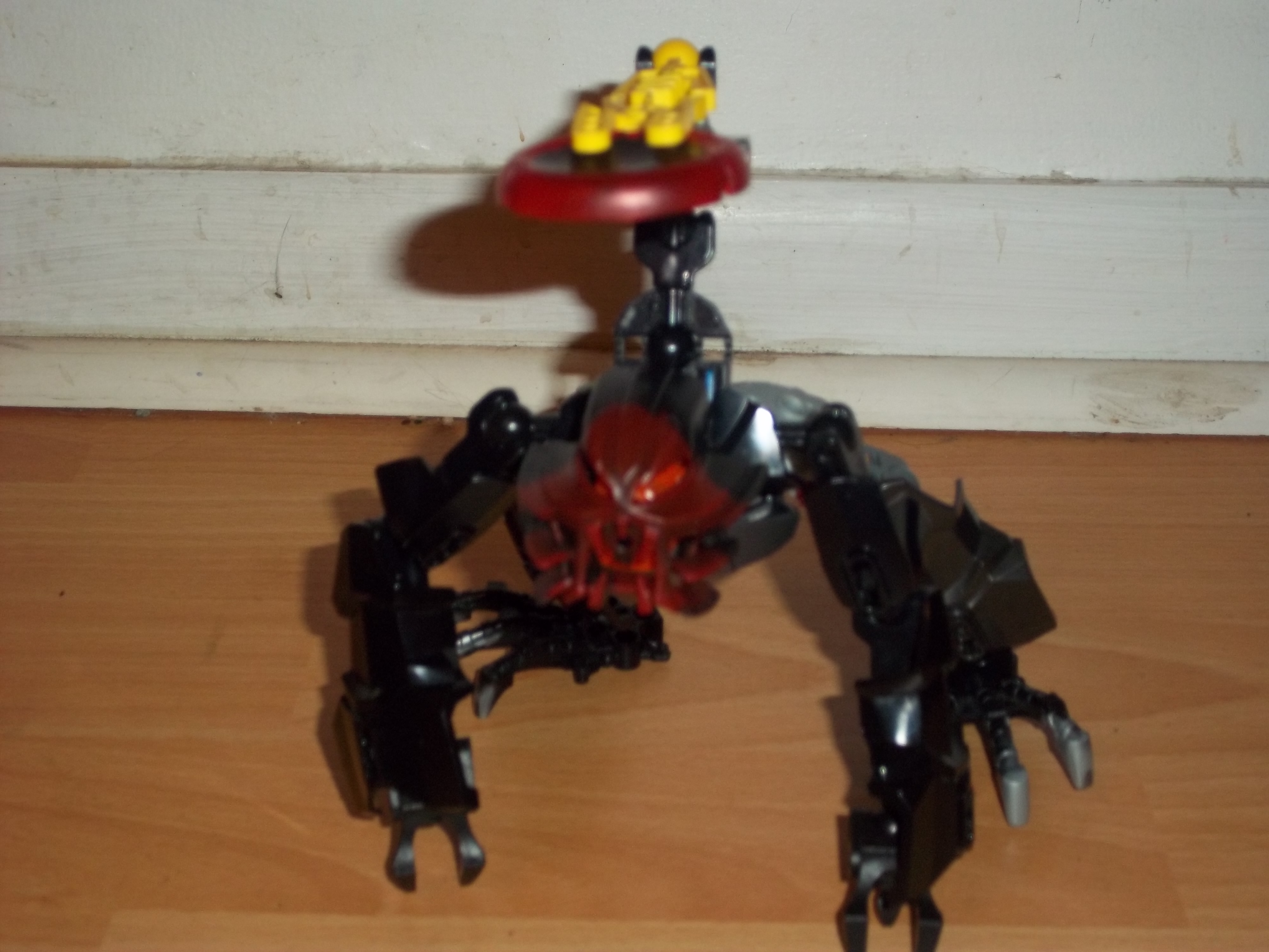 100_0637.jpg