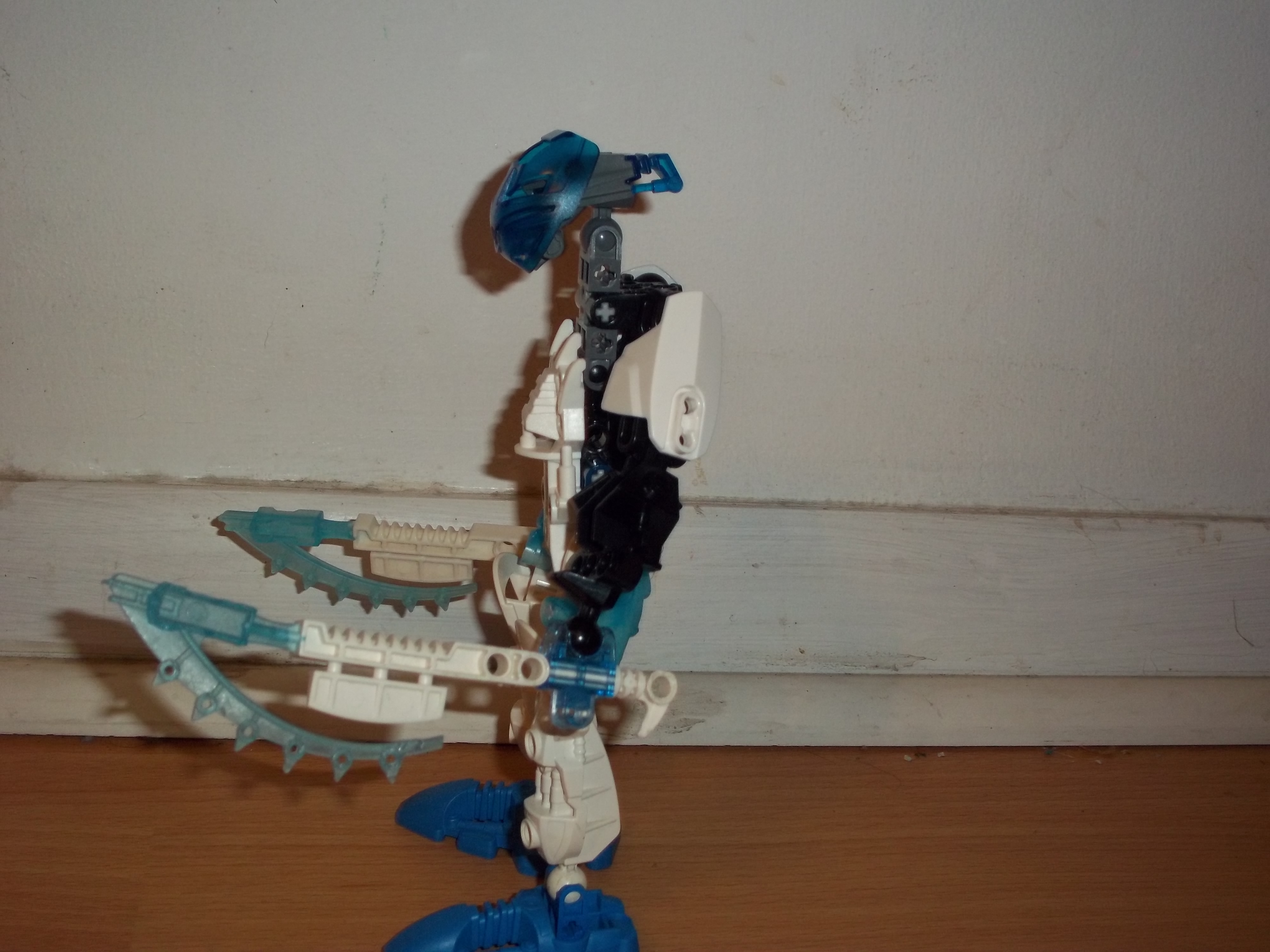 100_0685.jpg