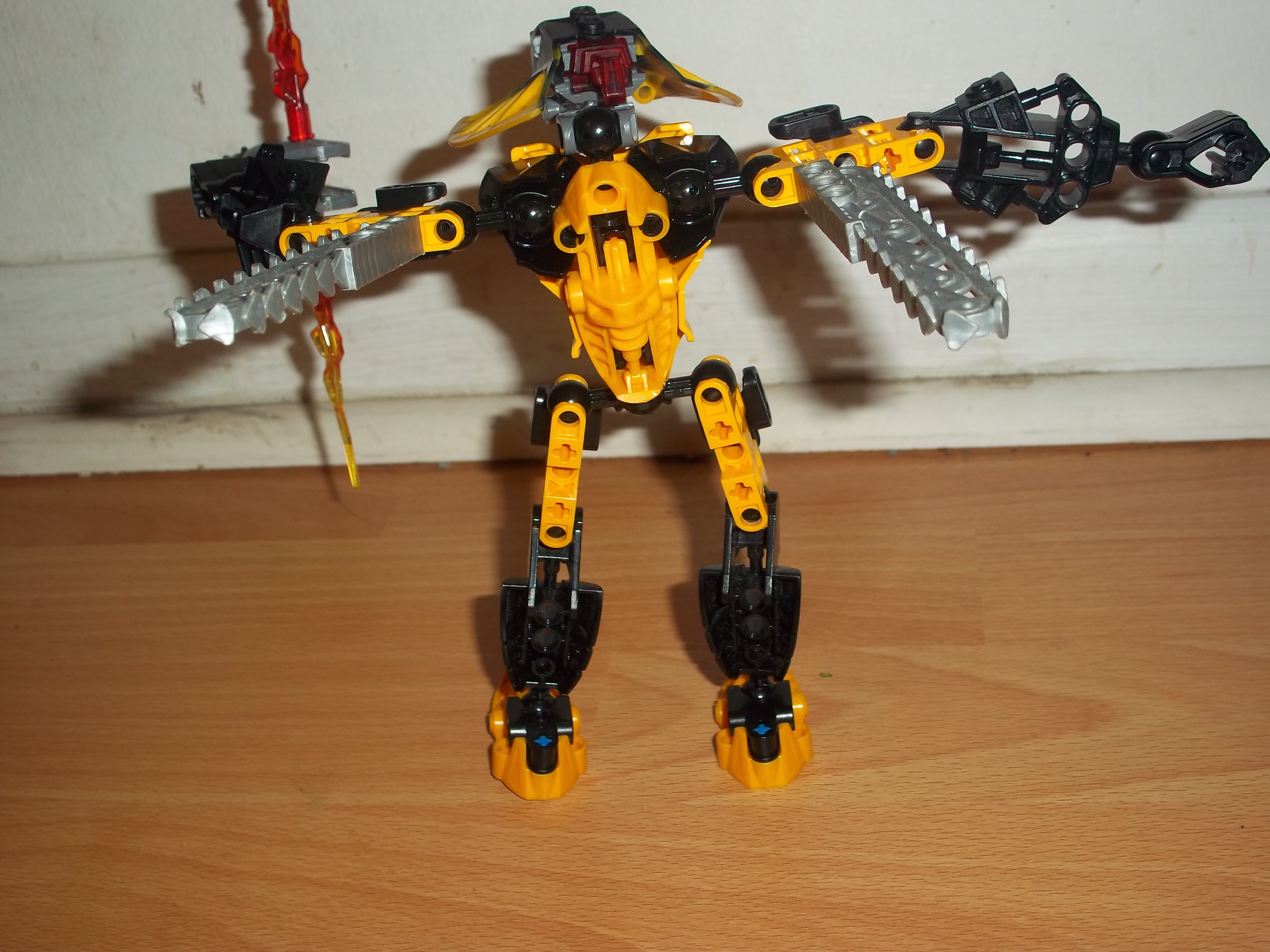 100_0689.jpg