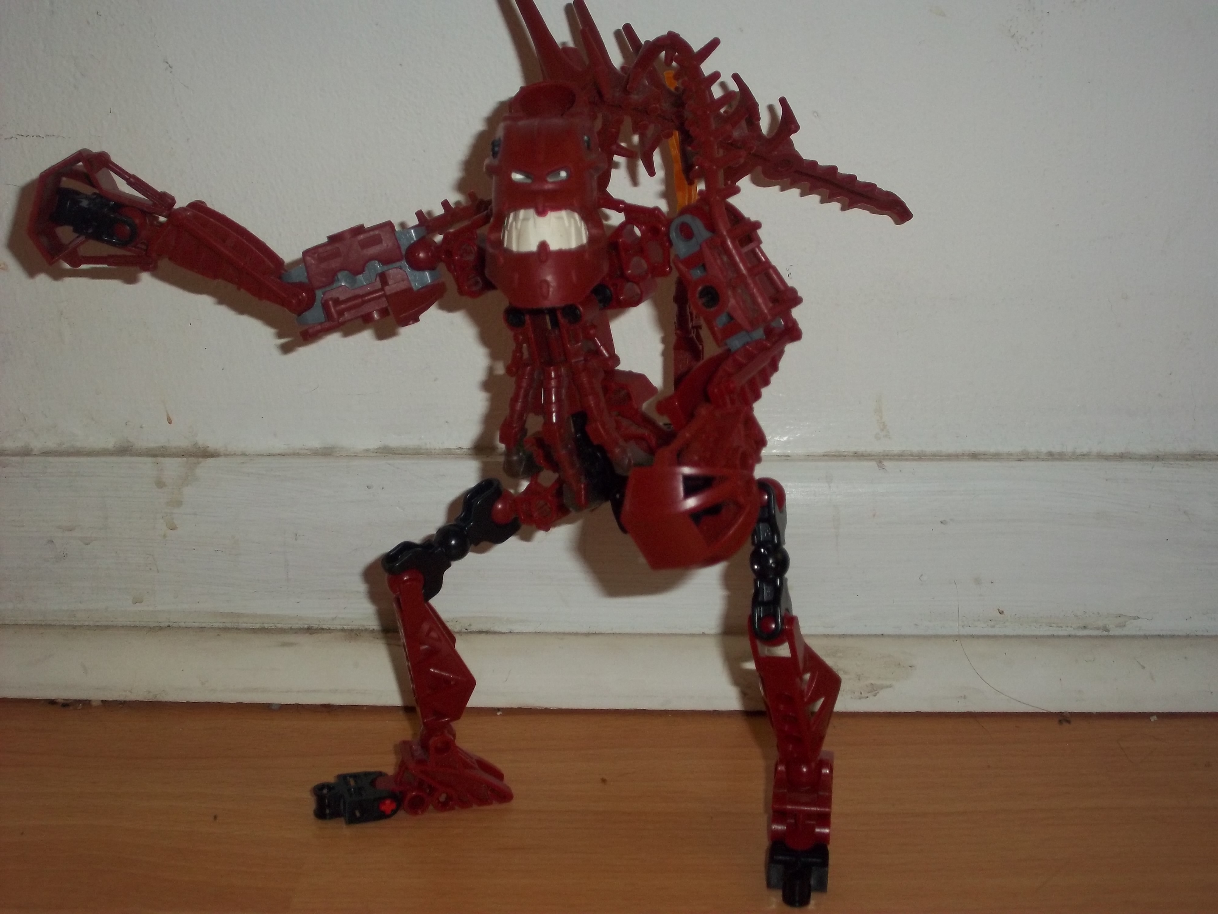 100_0710.jpg