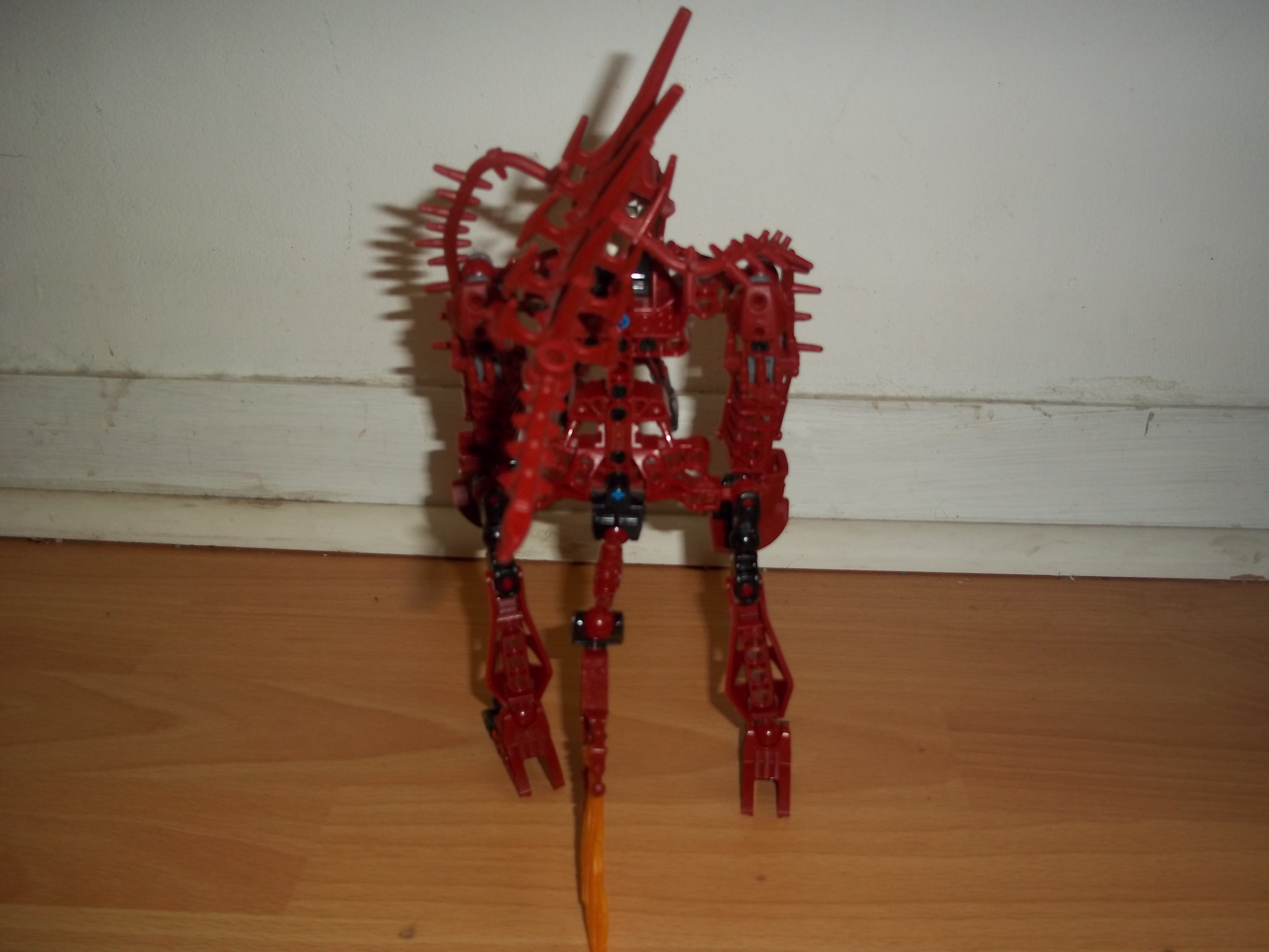 100_0712.jpg