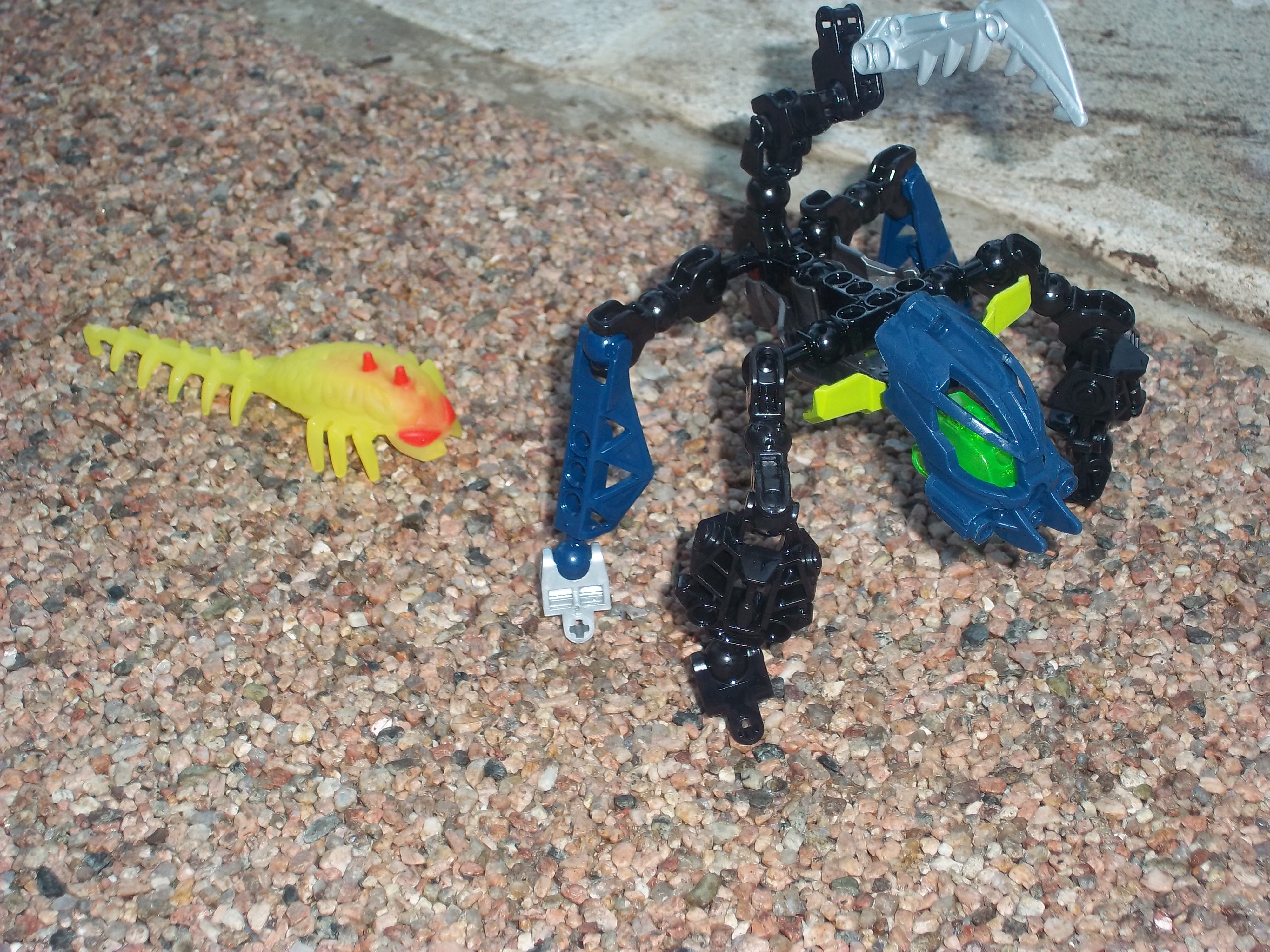100_0920.jpg