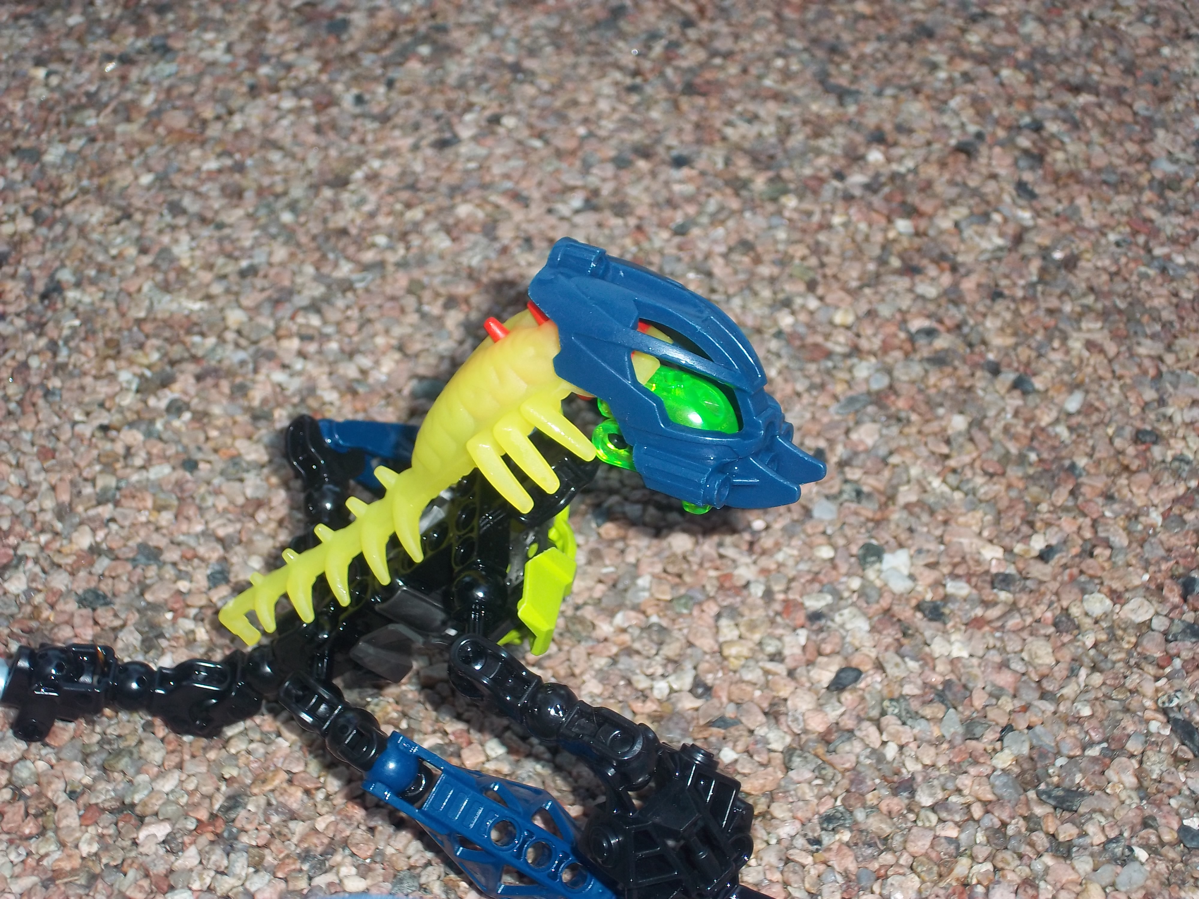100_0921.jpg