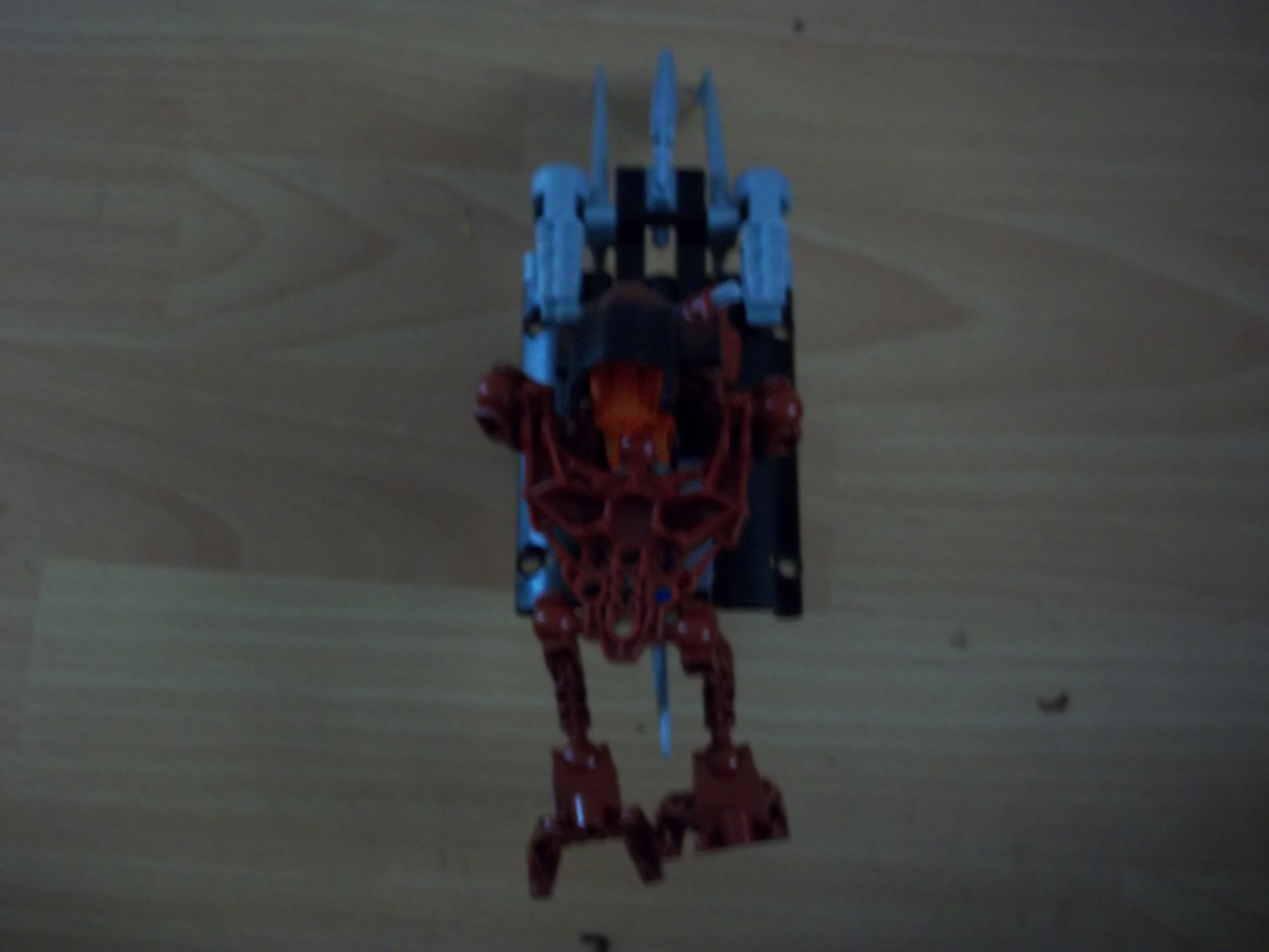100_0794.jpg