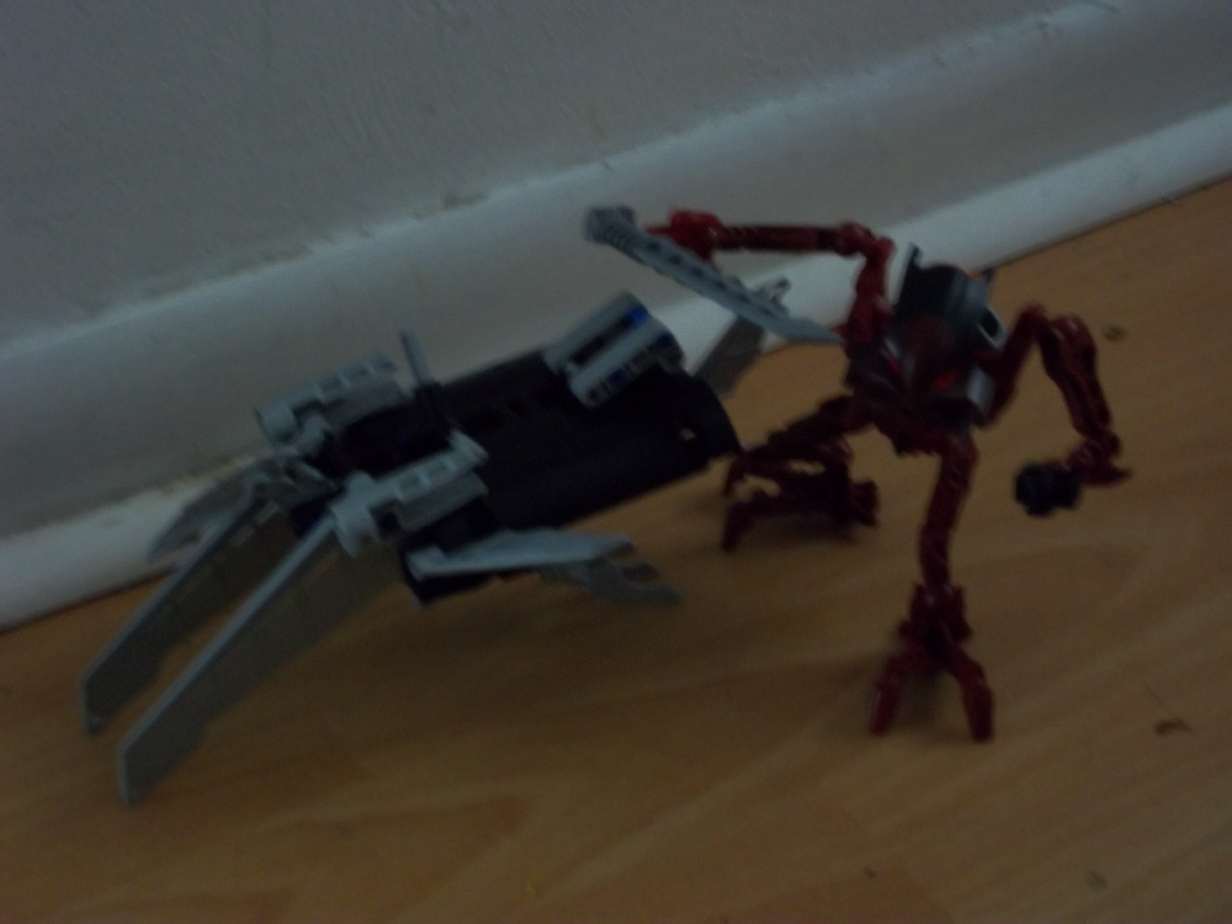 100_0796.jpg