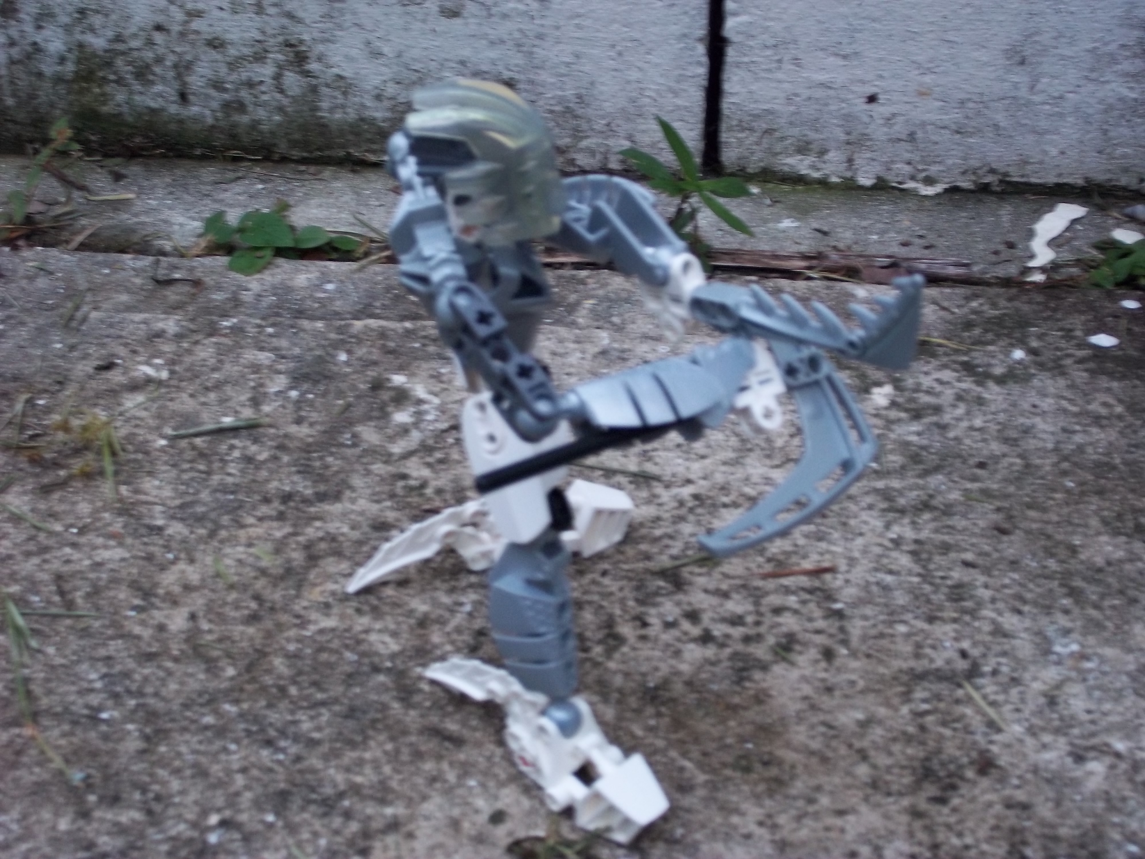 100_1164.jpg
