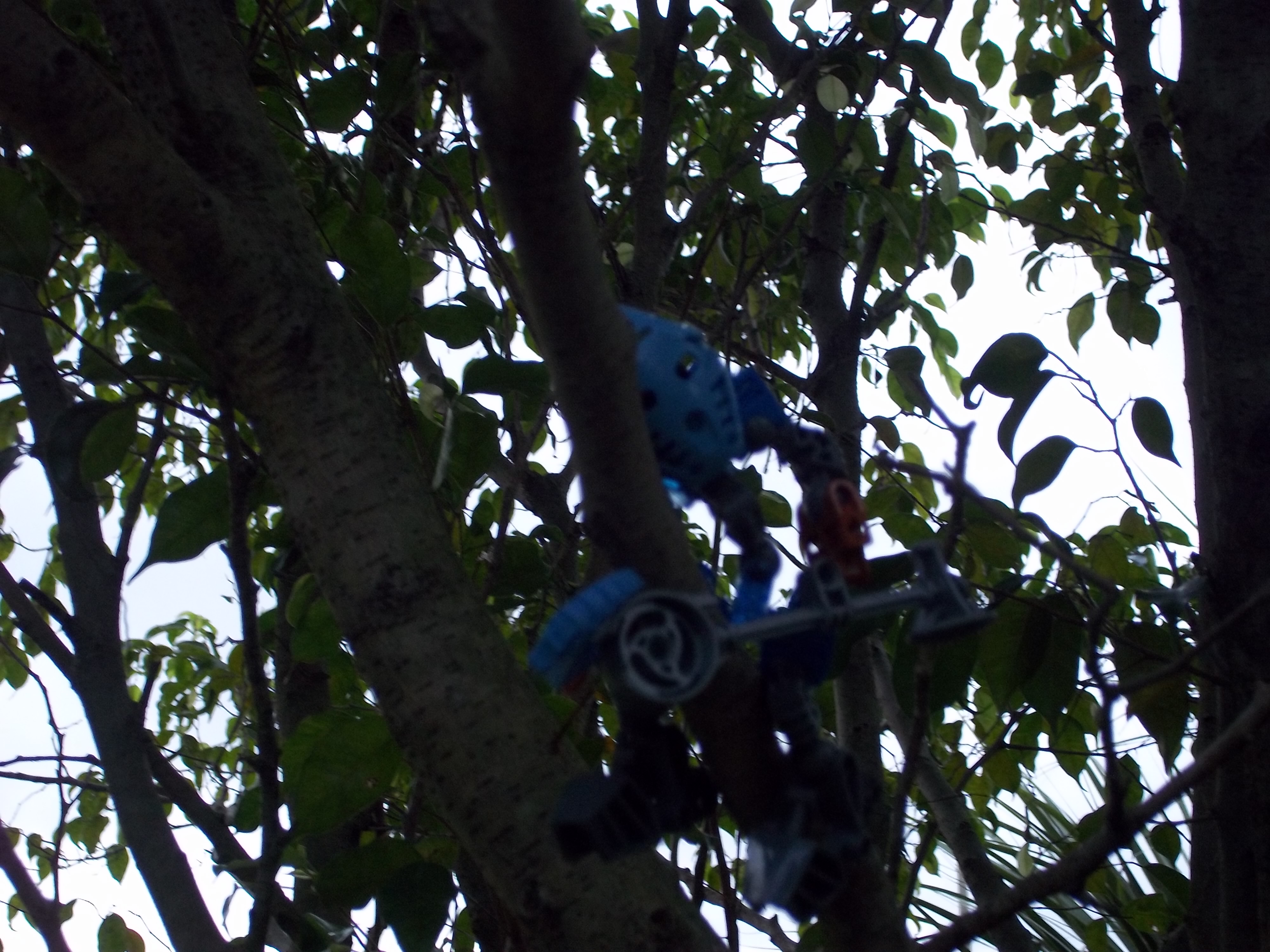 100_1141.jpg