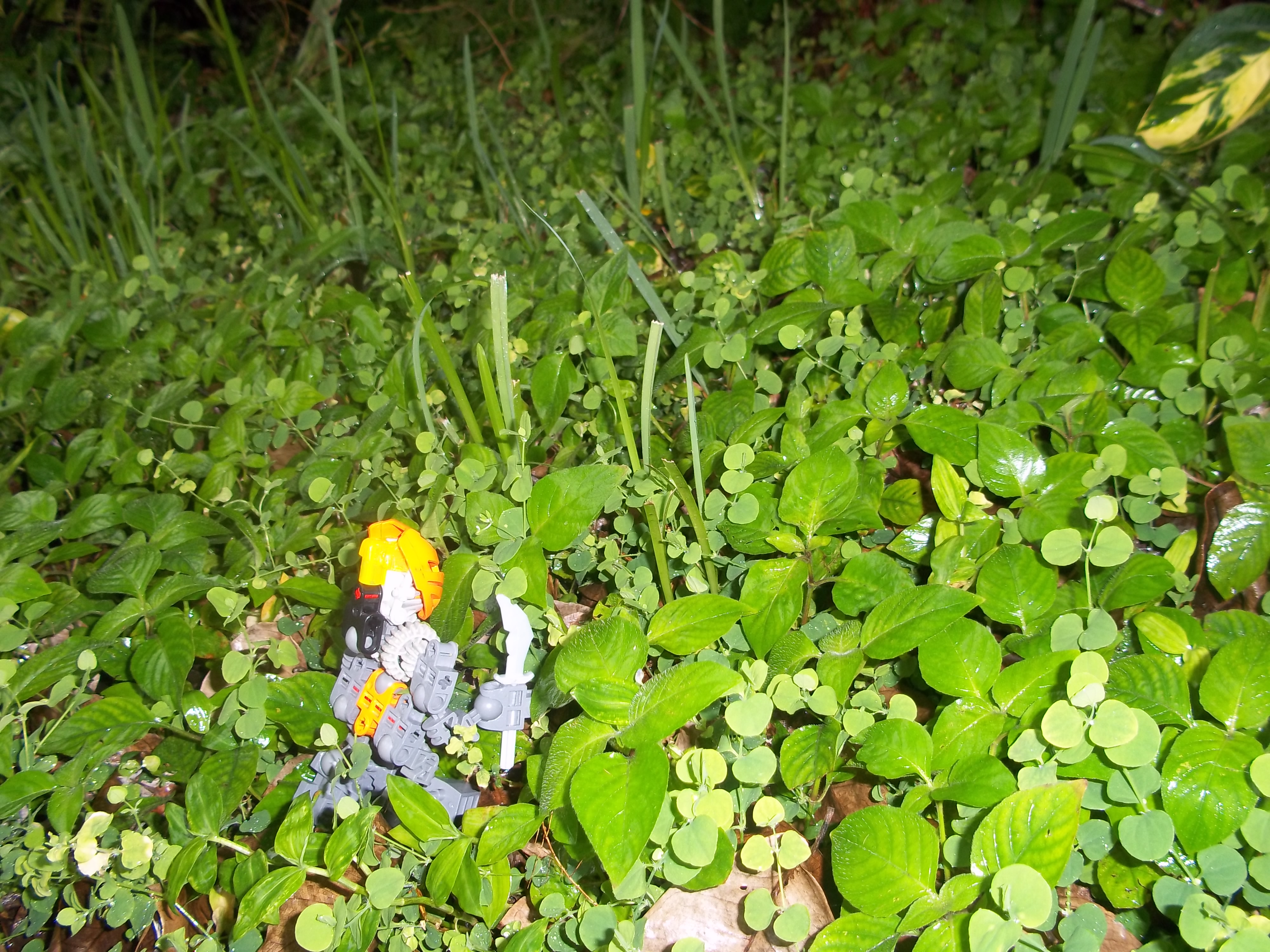 100_1109.jpg