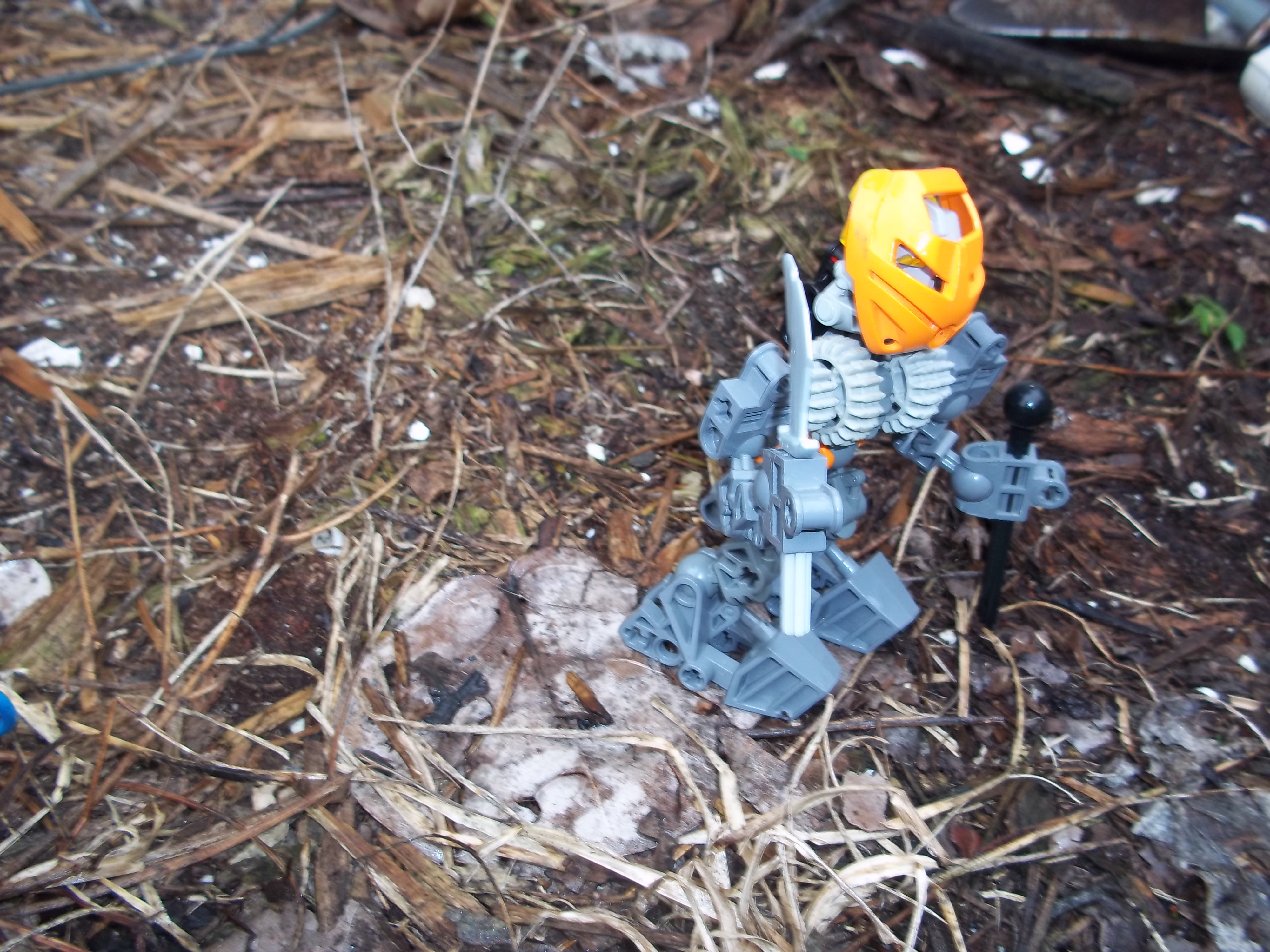 100_1110.jpg