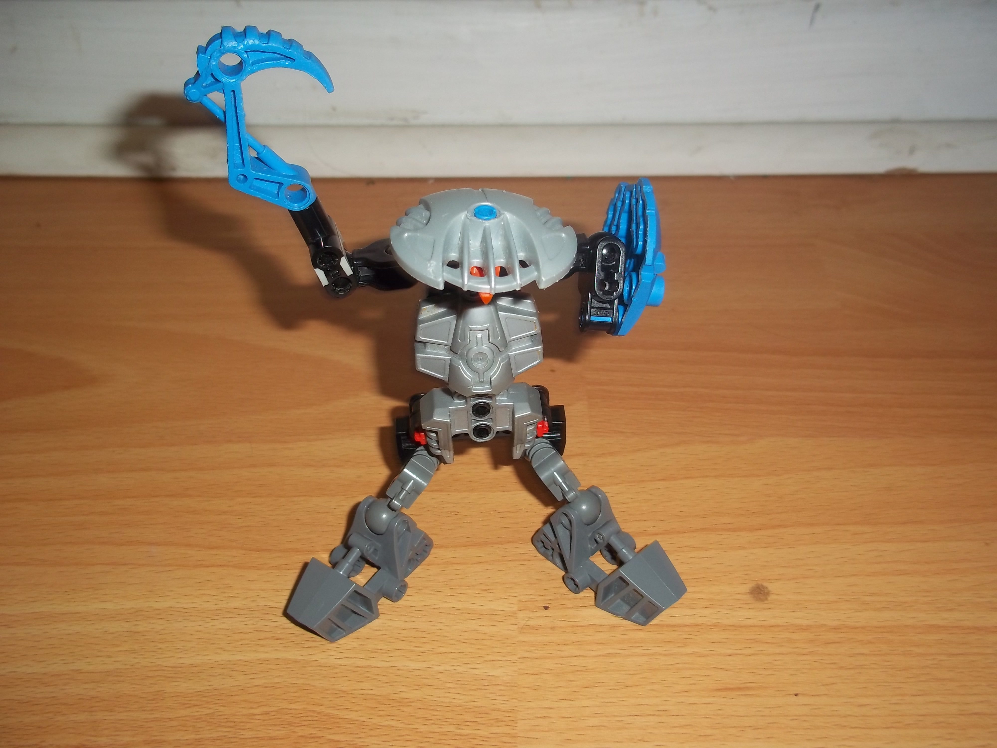 100_0704.jpg