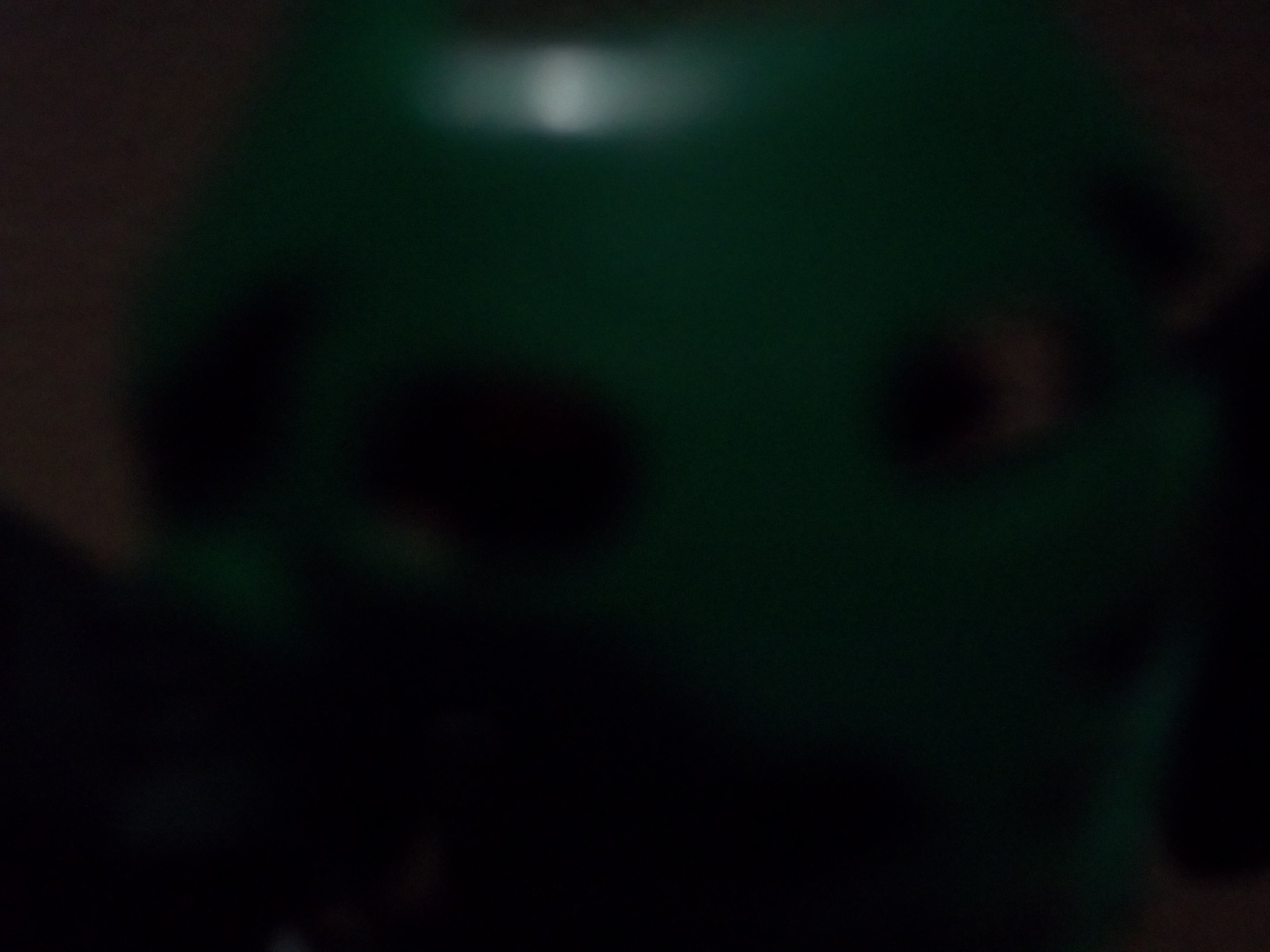 100_0817.jpg