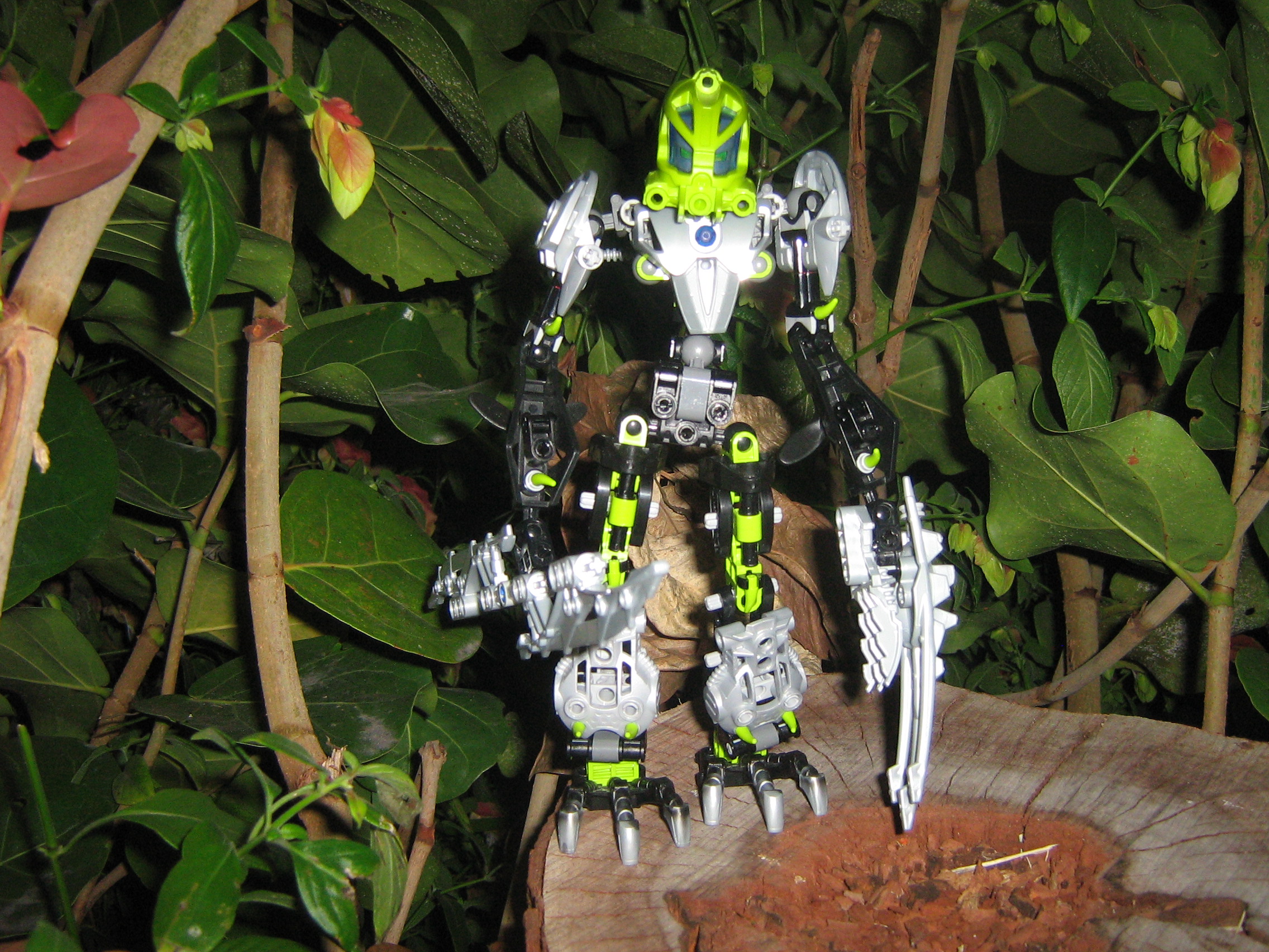 galaxa_038.jpg