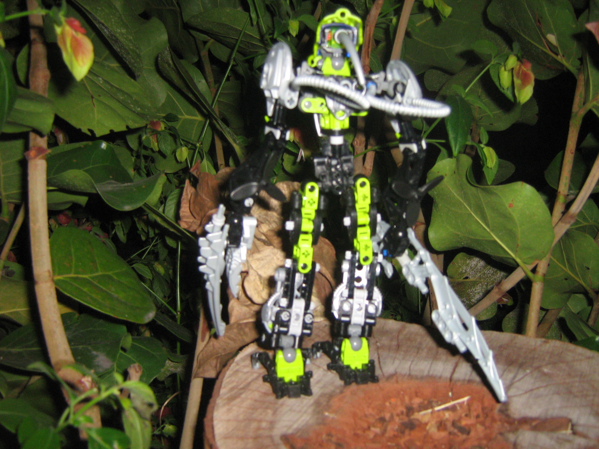 galaxa_042.jpg