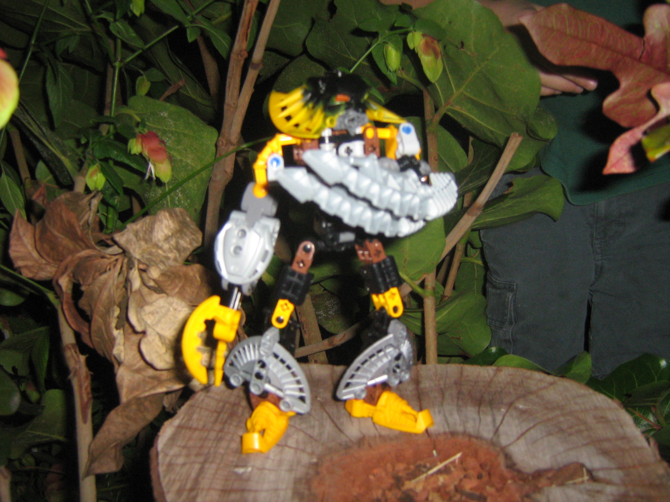galaxa_031.jpg