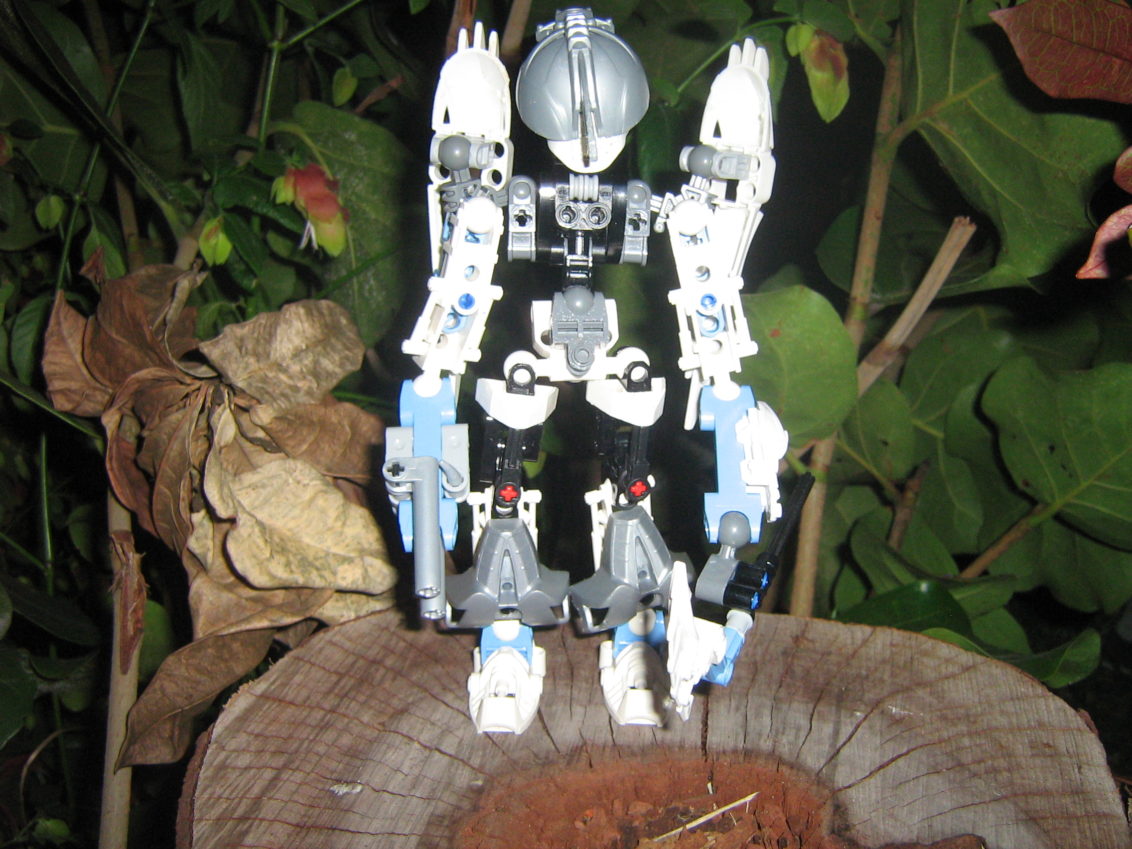 galaxa_027.jpg
