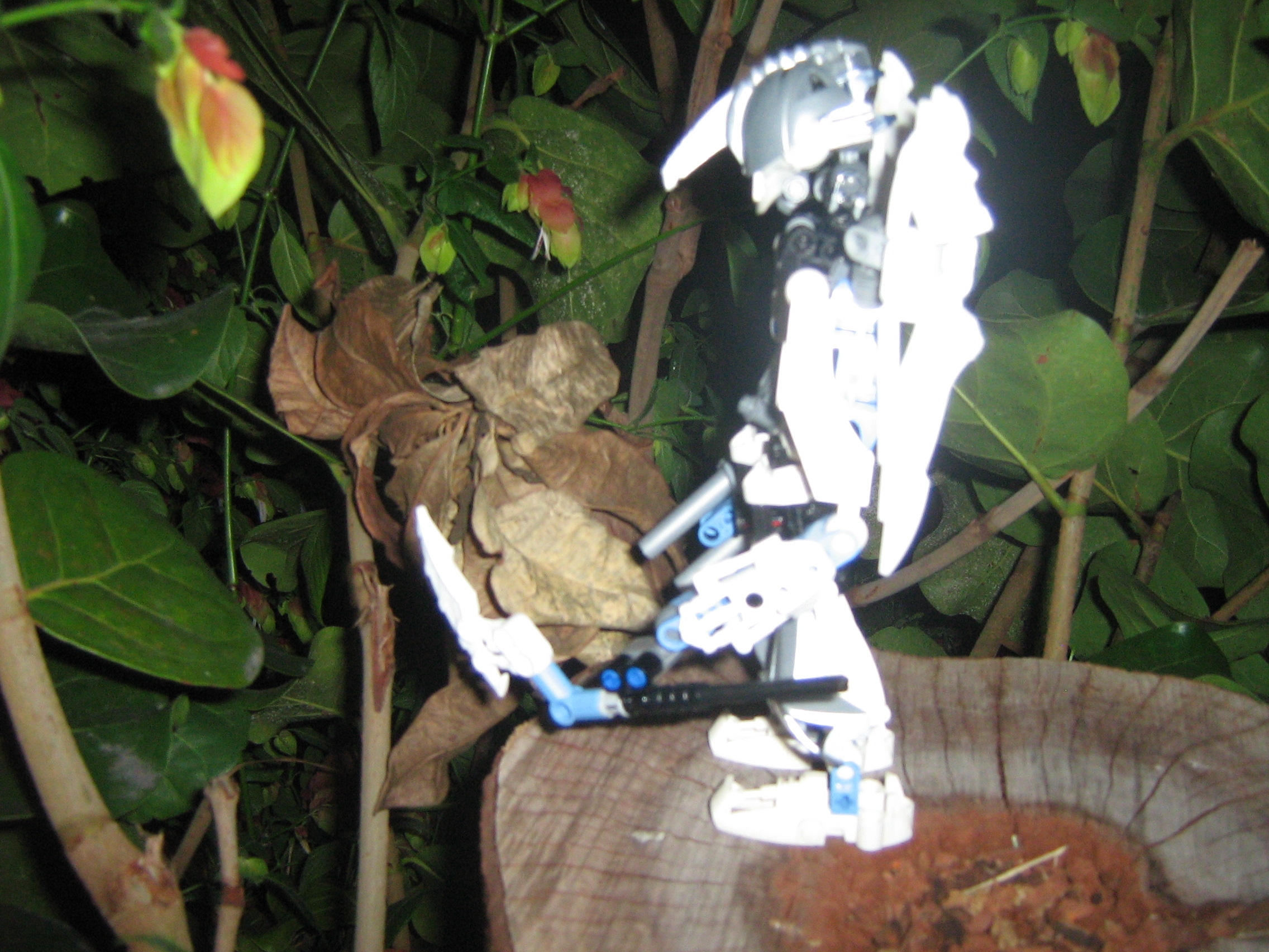 galaxa_030.jpg