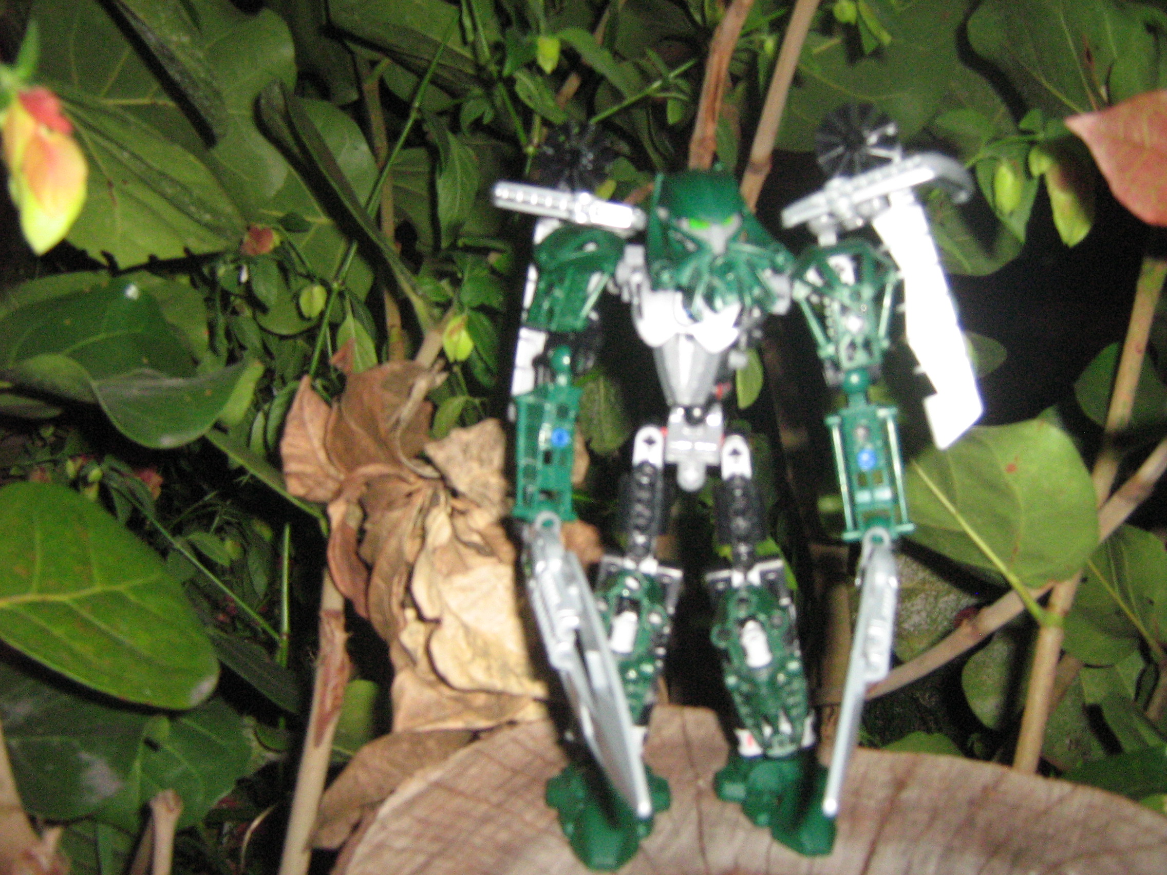 galaxa_013.jpg