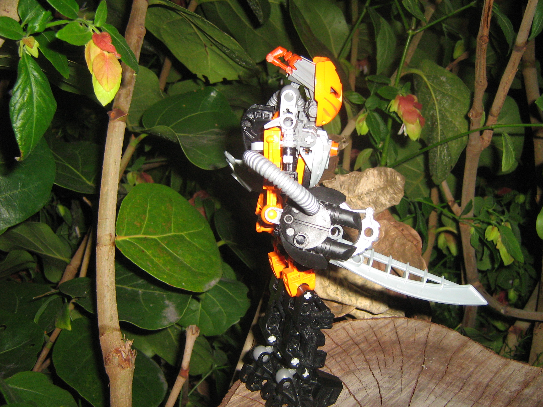 galaxa_003.jpg