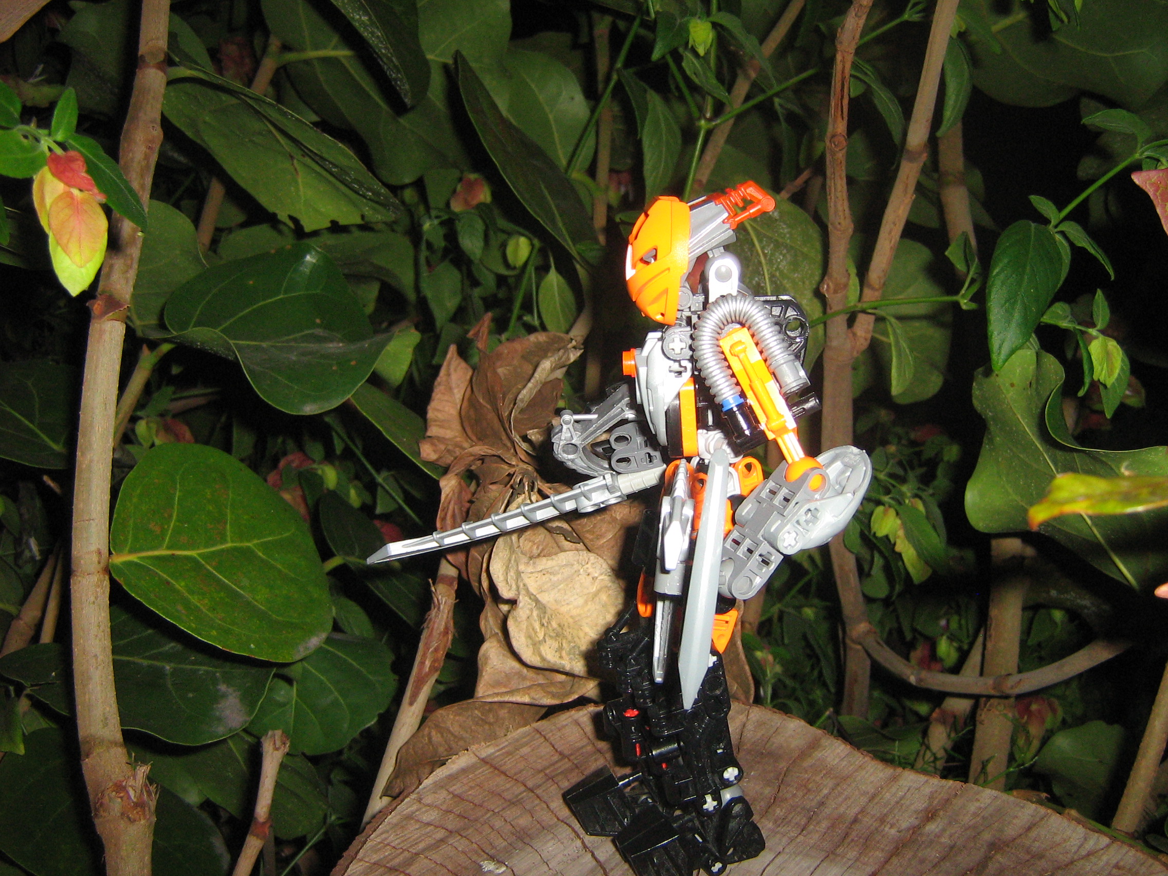 galaxa_004.jpg