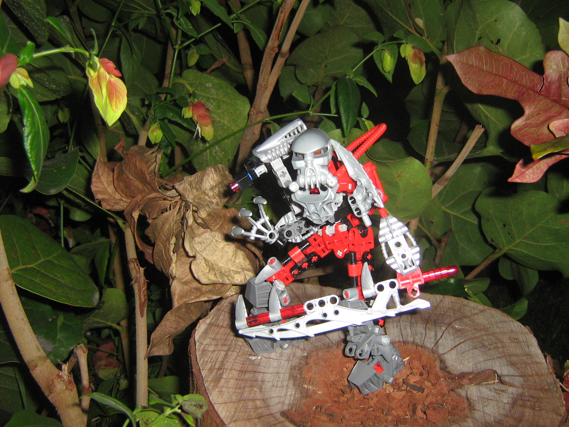 galaxa_005.jpg