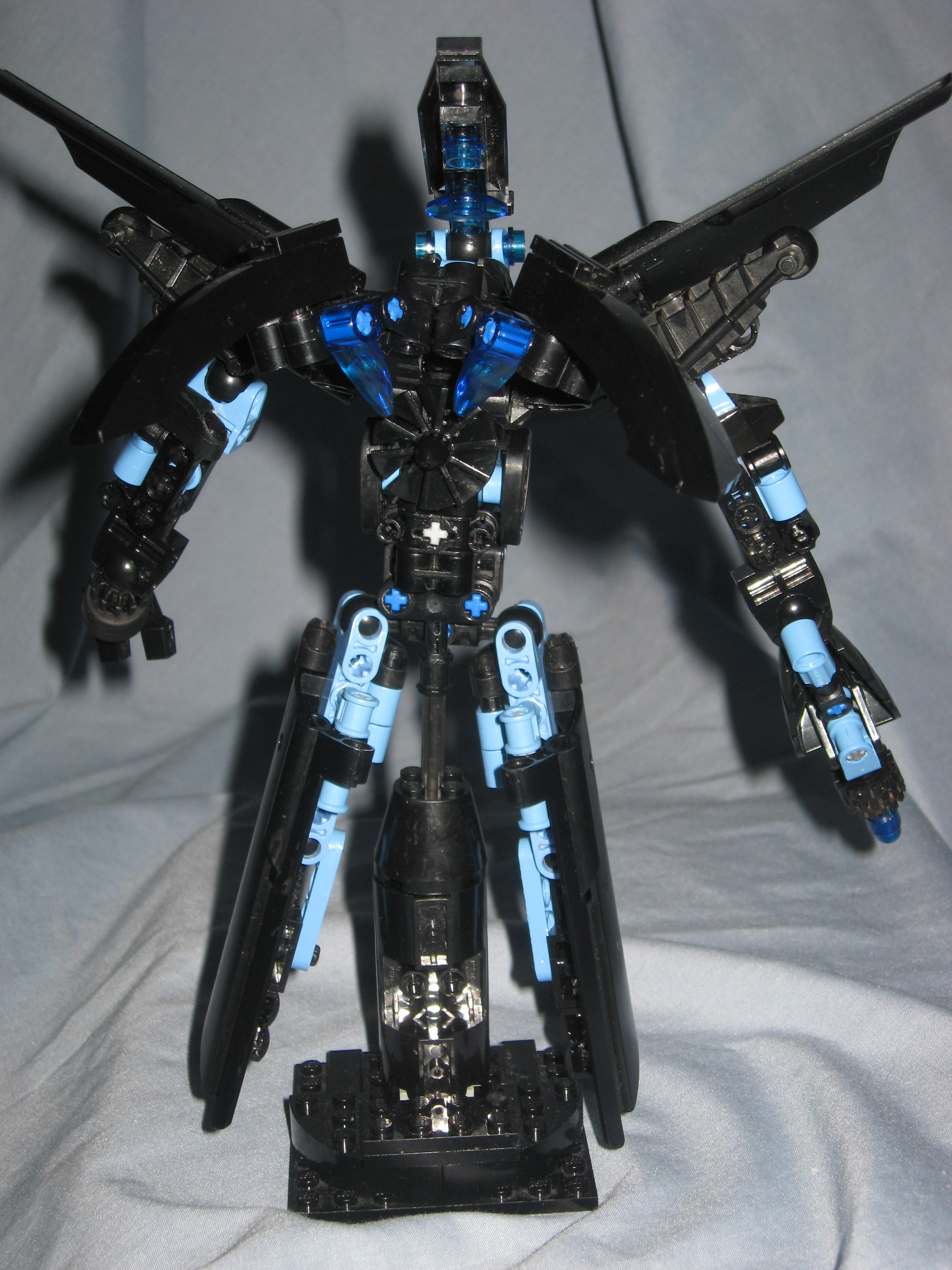 alitis_6.jpg