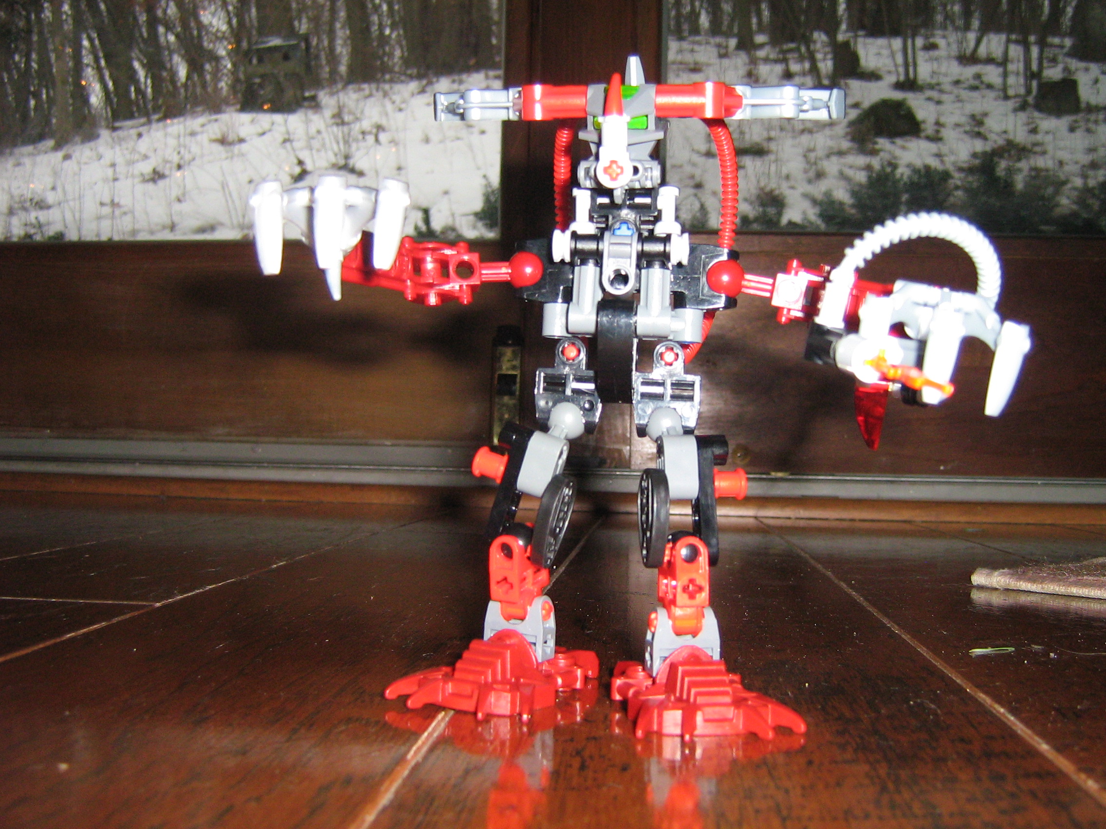 winter2_022.jpg
