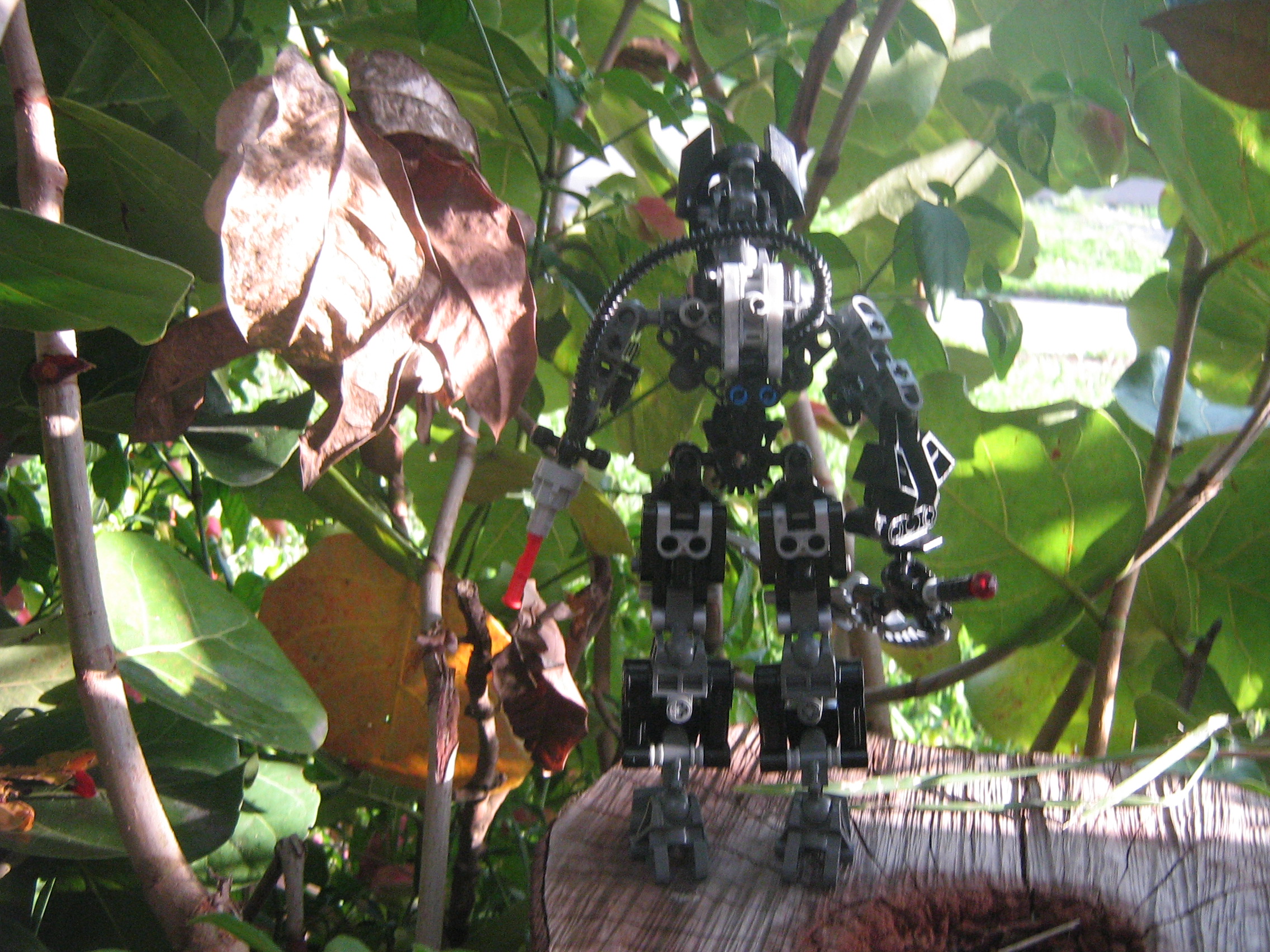 primus_004.jpg