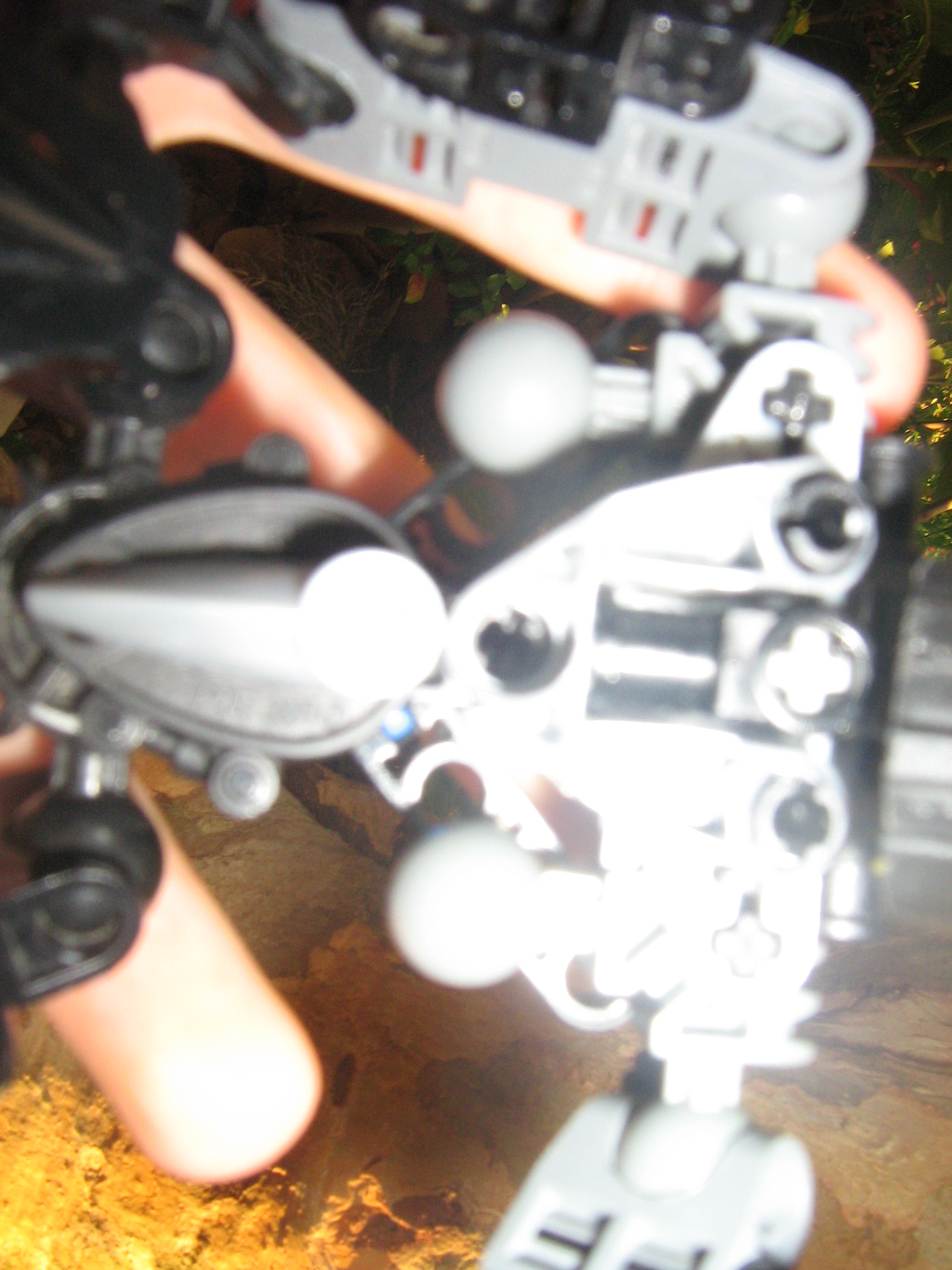 primus_011.jpg