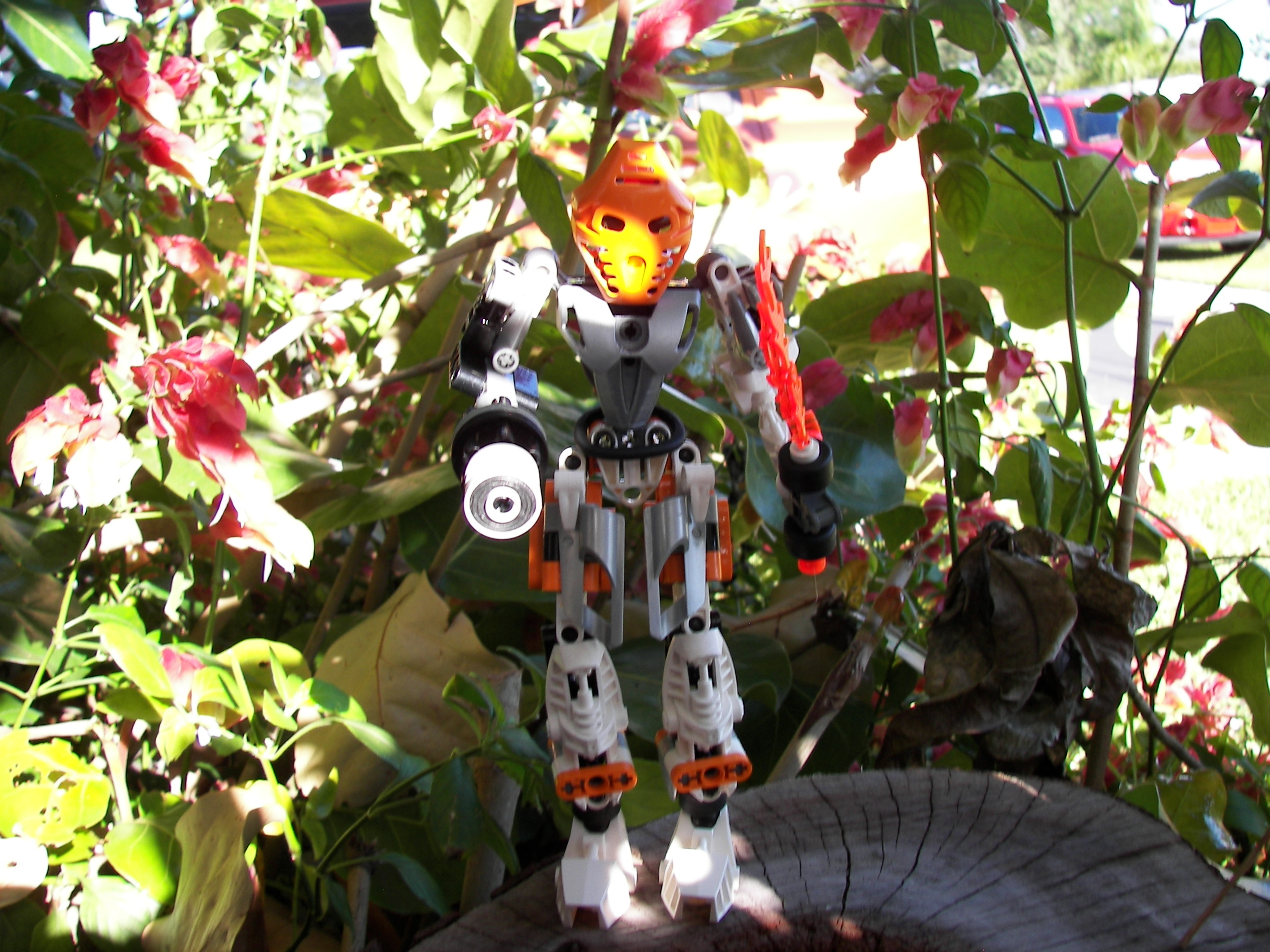 3-15_113.jpg